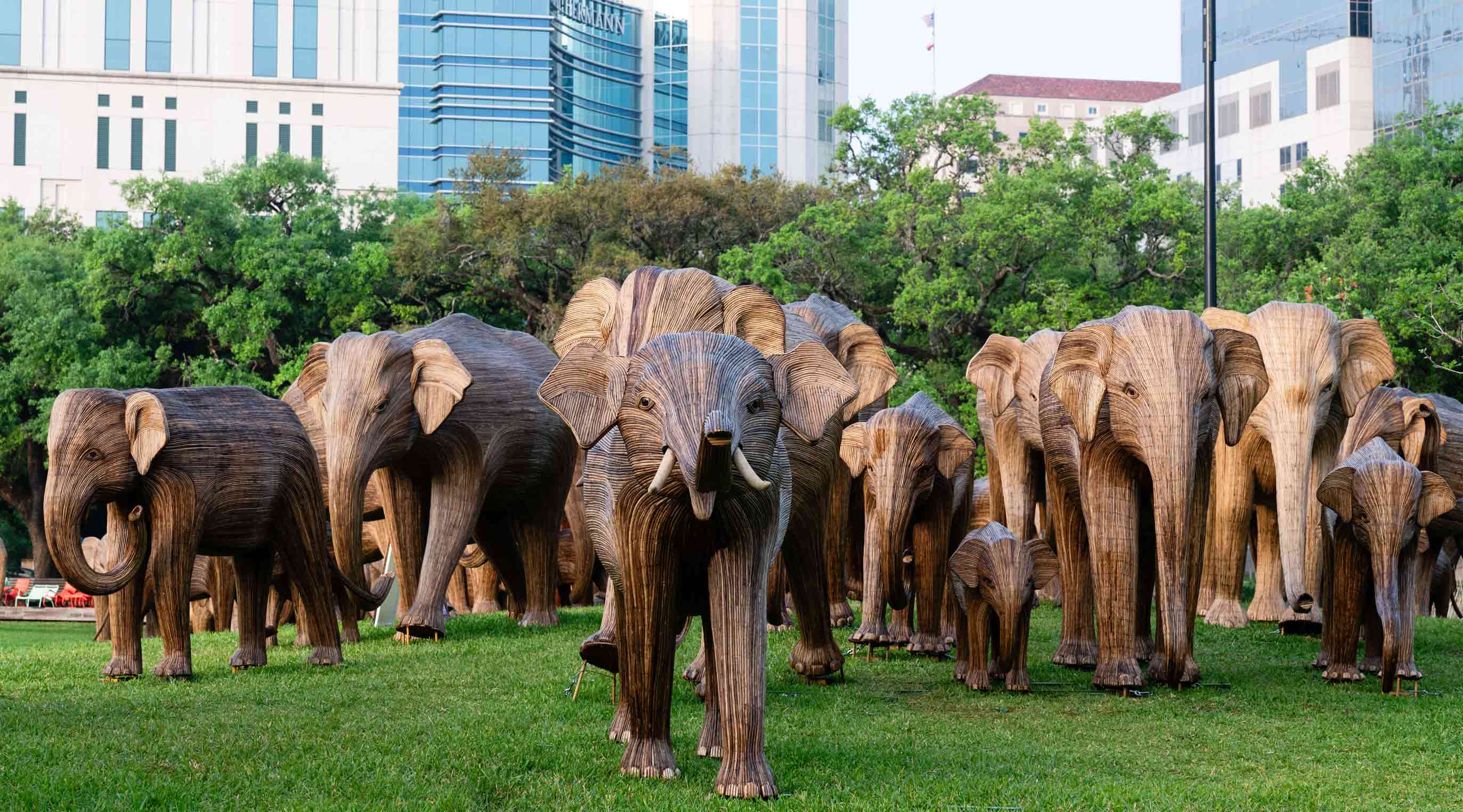 The Great Elephant Migration exhibition in Houston, Texas