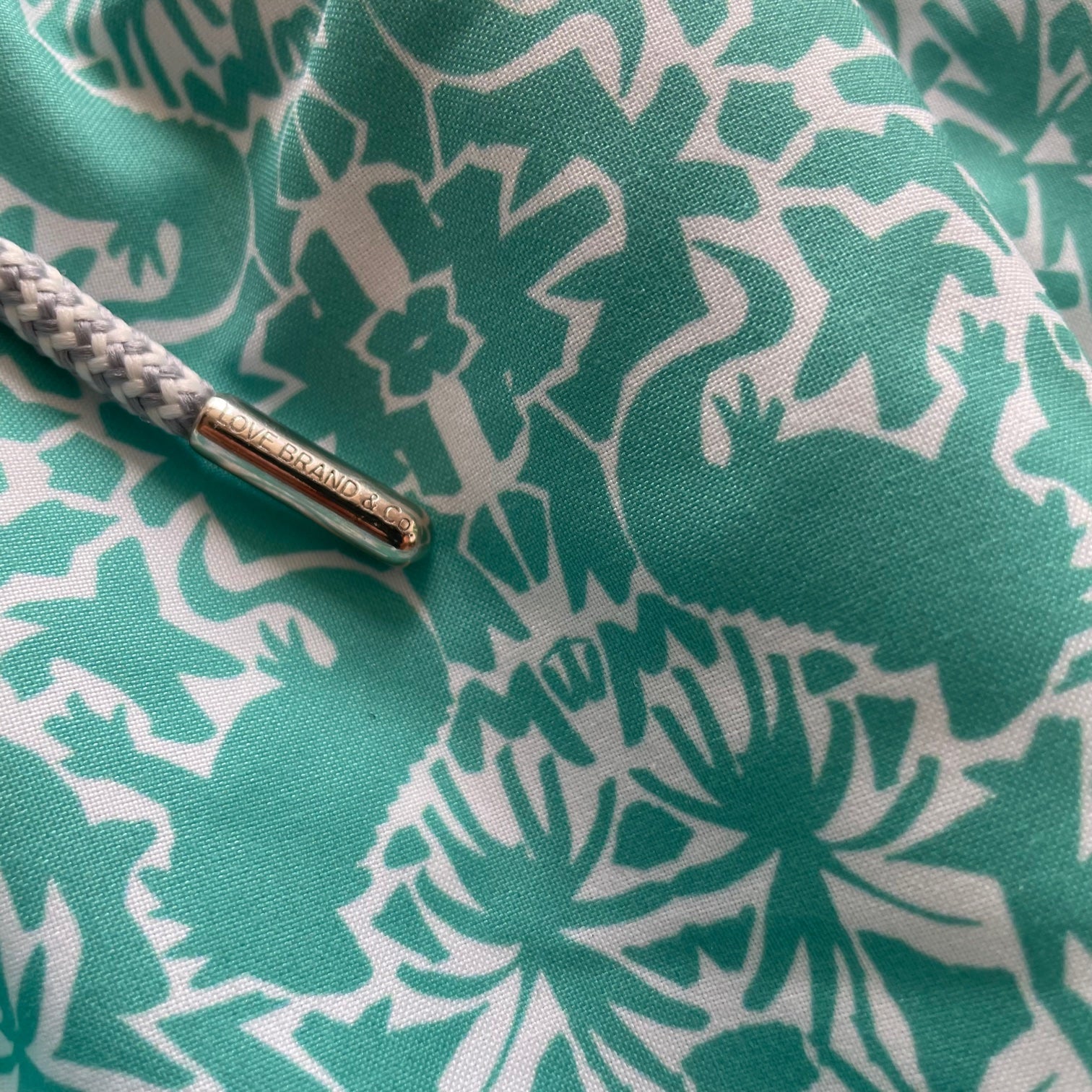 Introducing 'Island Iguana'