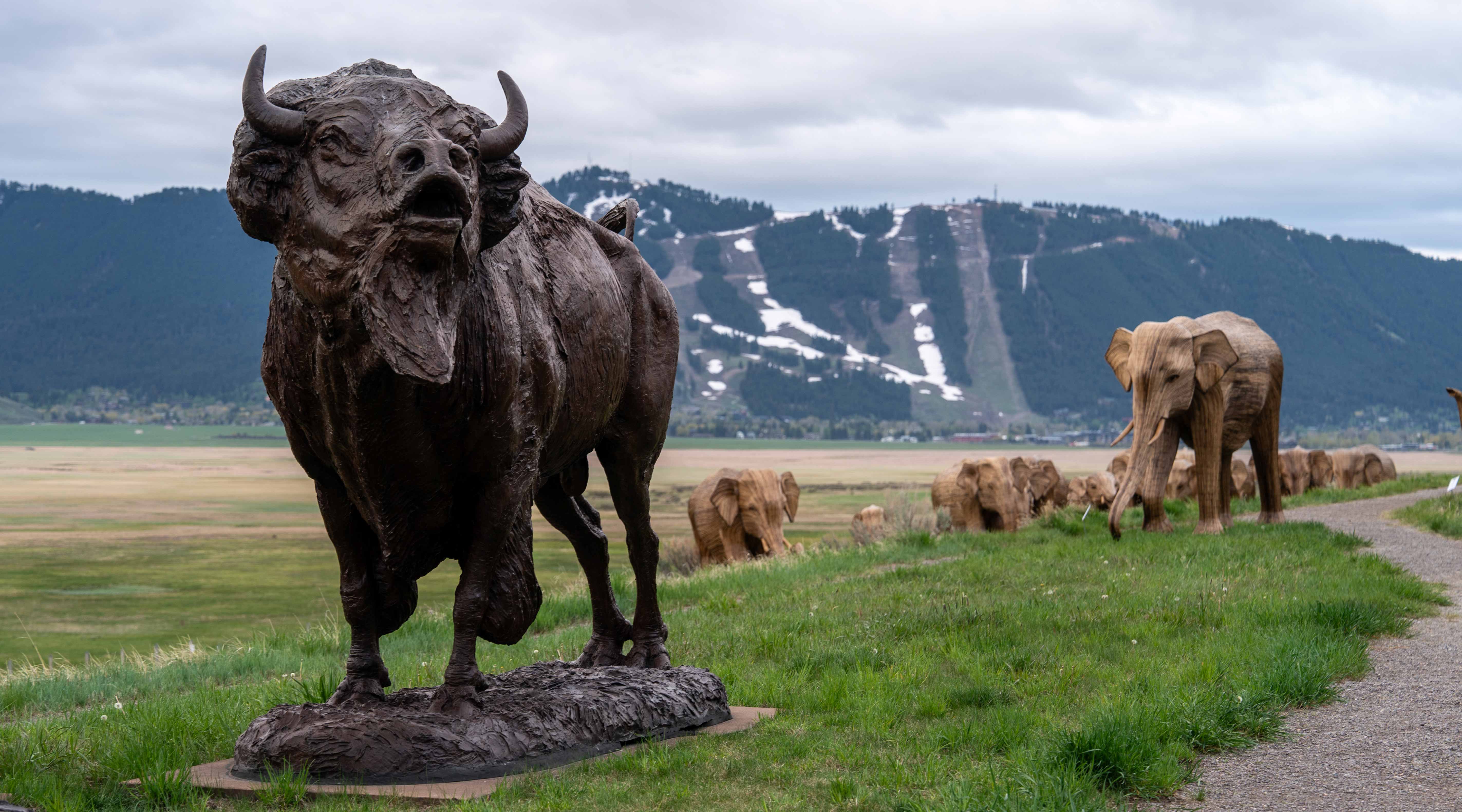The Great Elephant Migration | Wyoming