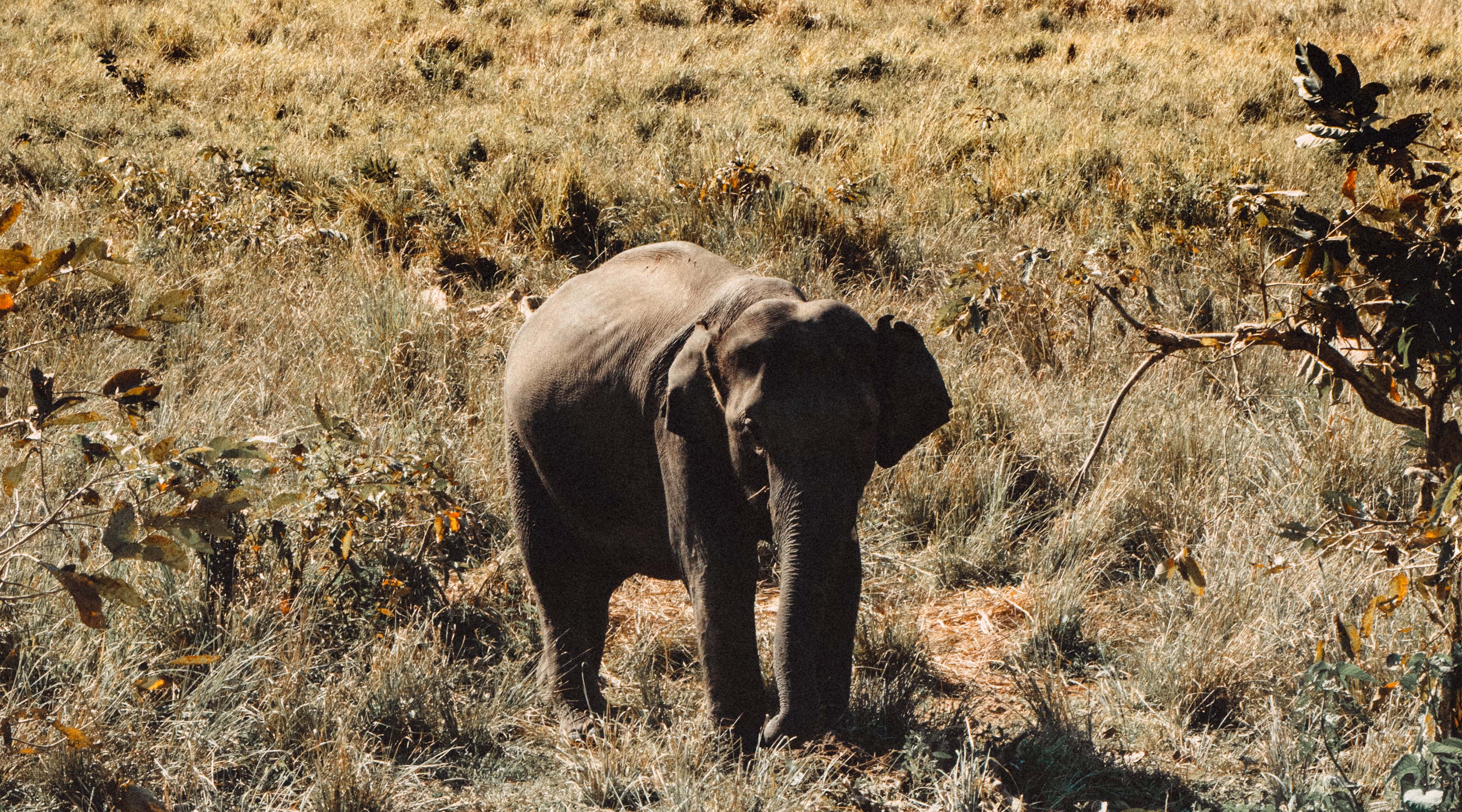 Helping Dulu: Education is Key