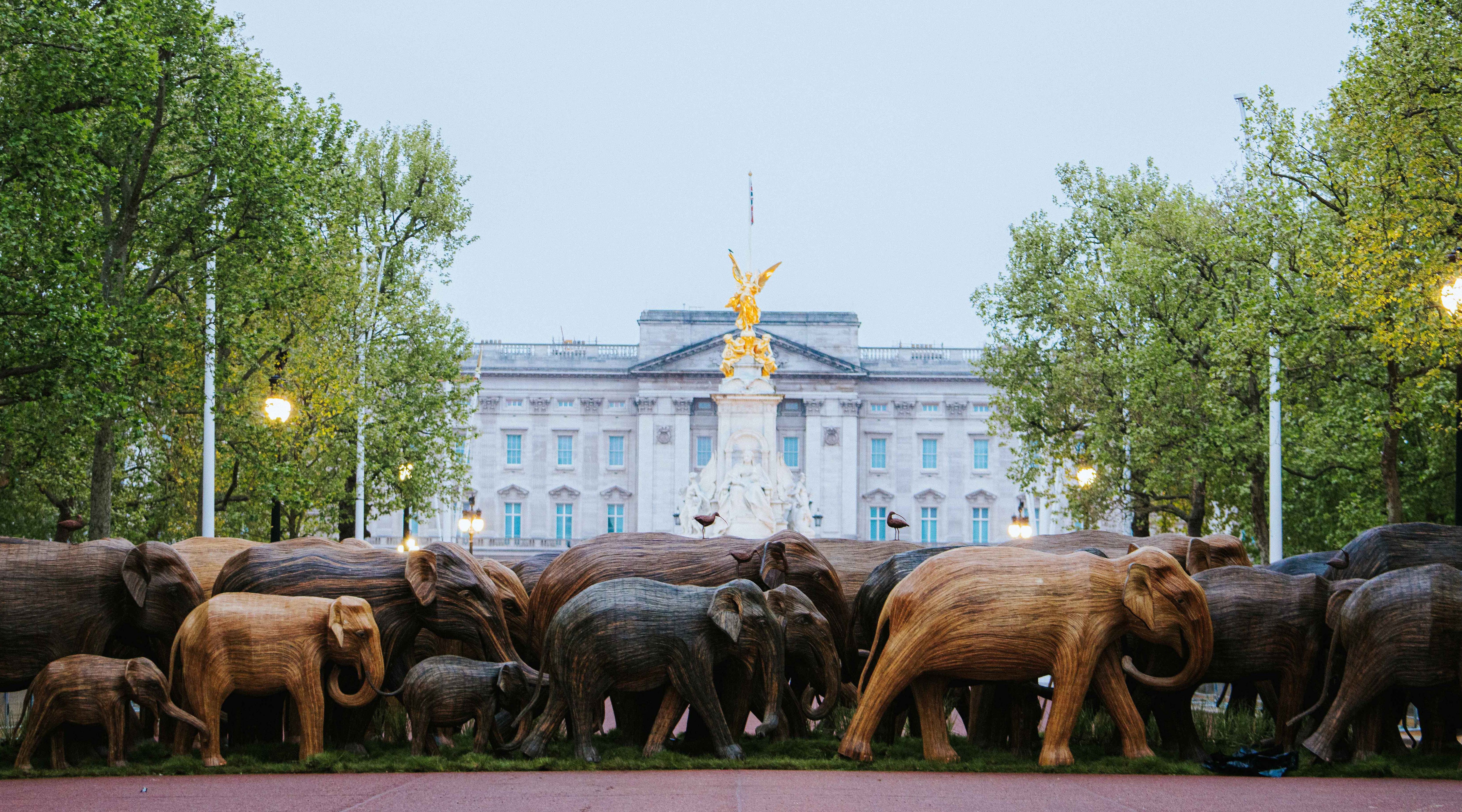 Elephants at Buckingham Palace