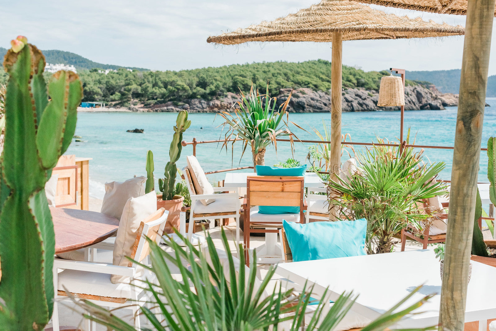Beach restaurant with cacti