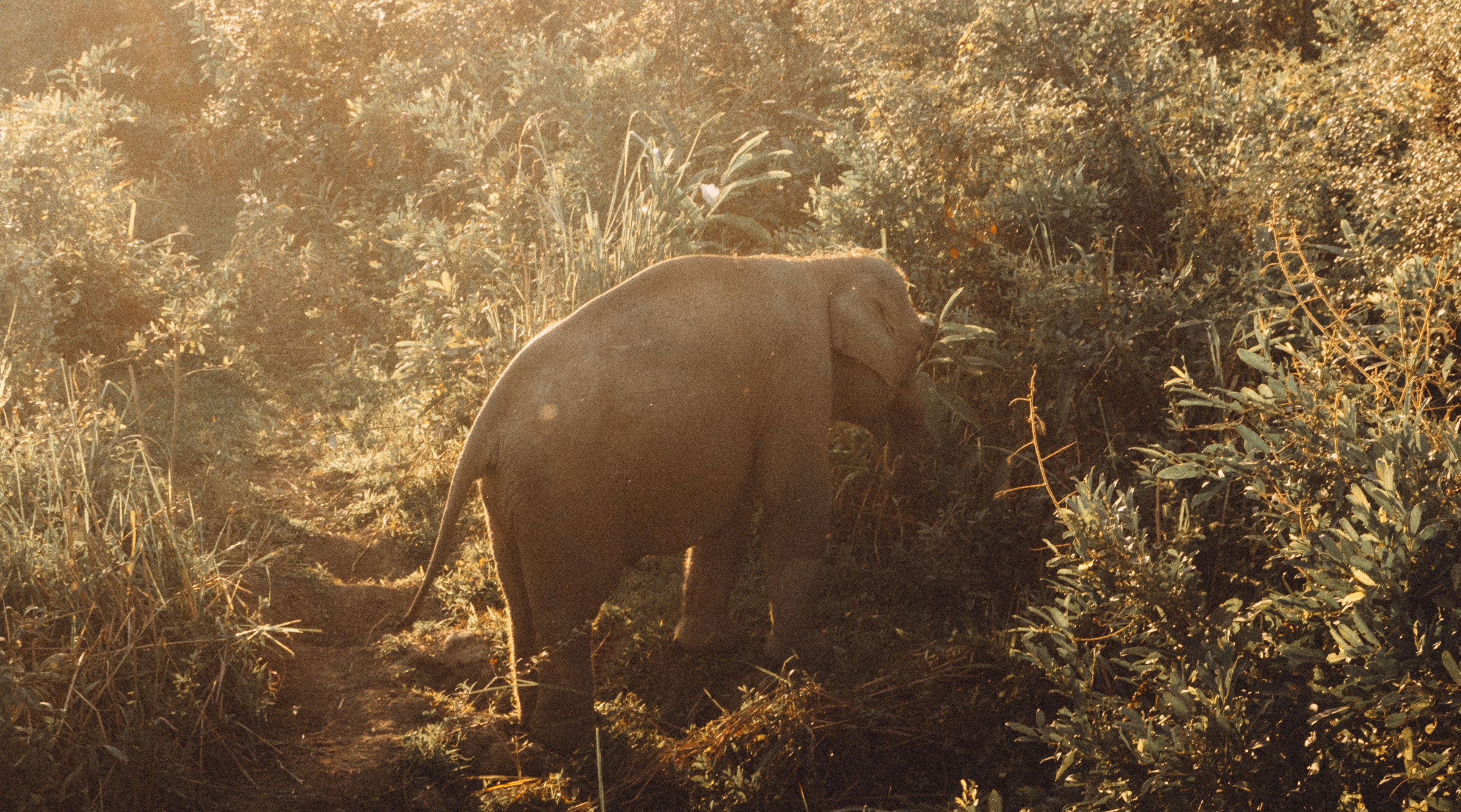 LOVE BRAND & Co. Presents 'Helping Dulu'