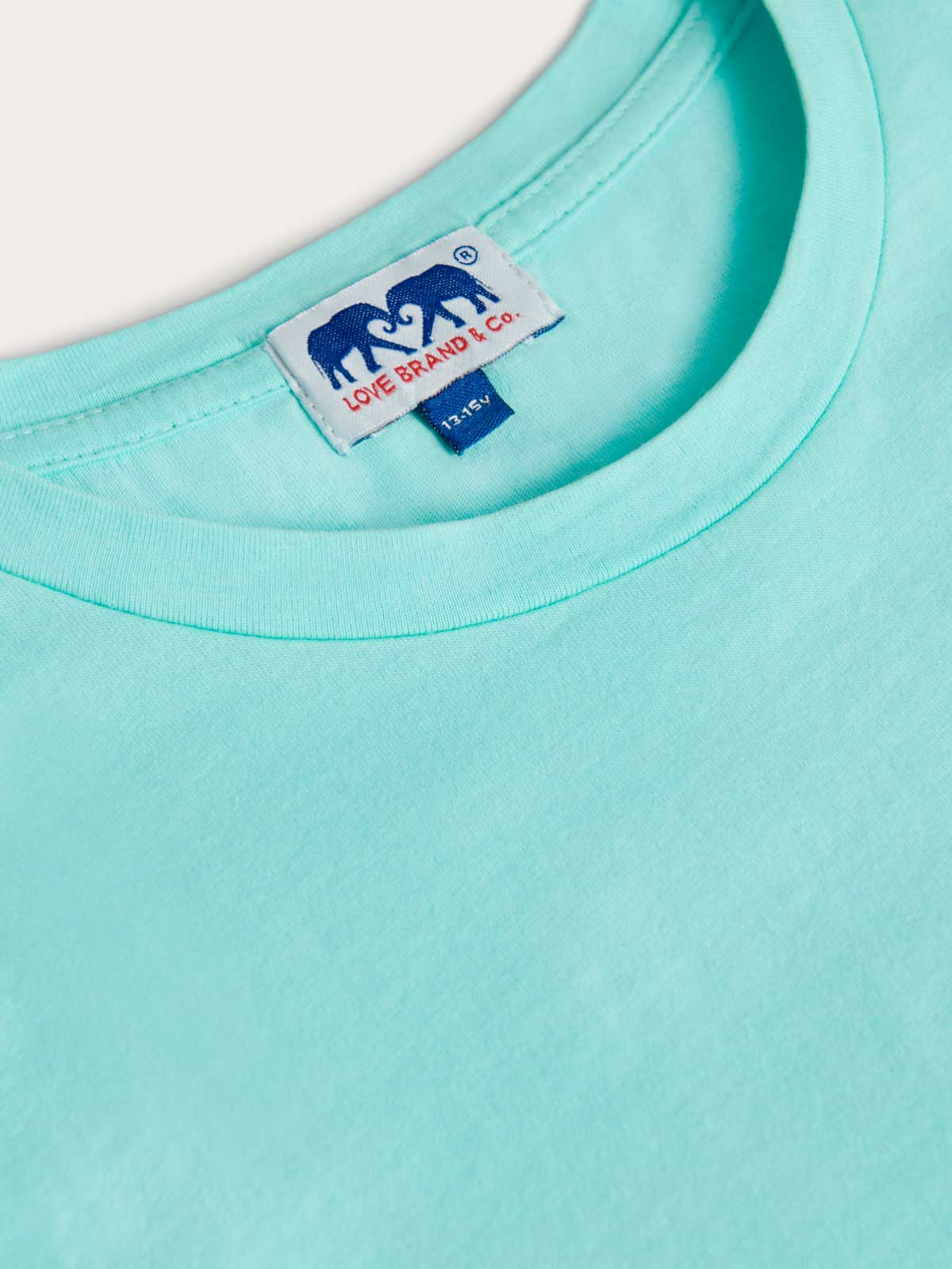 Collar view of boys mint green t-shirt by love brand & co.
