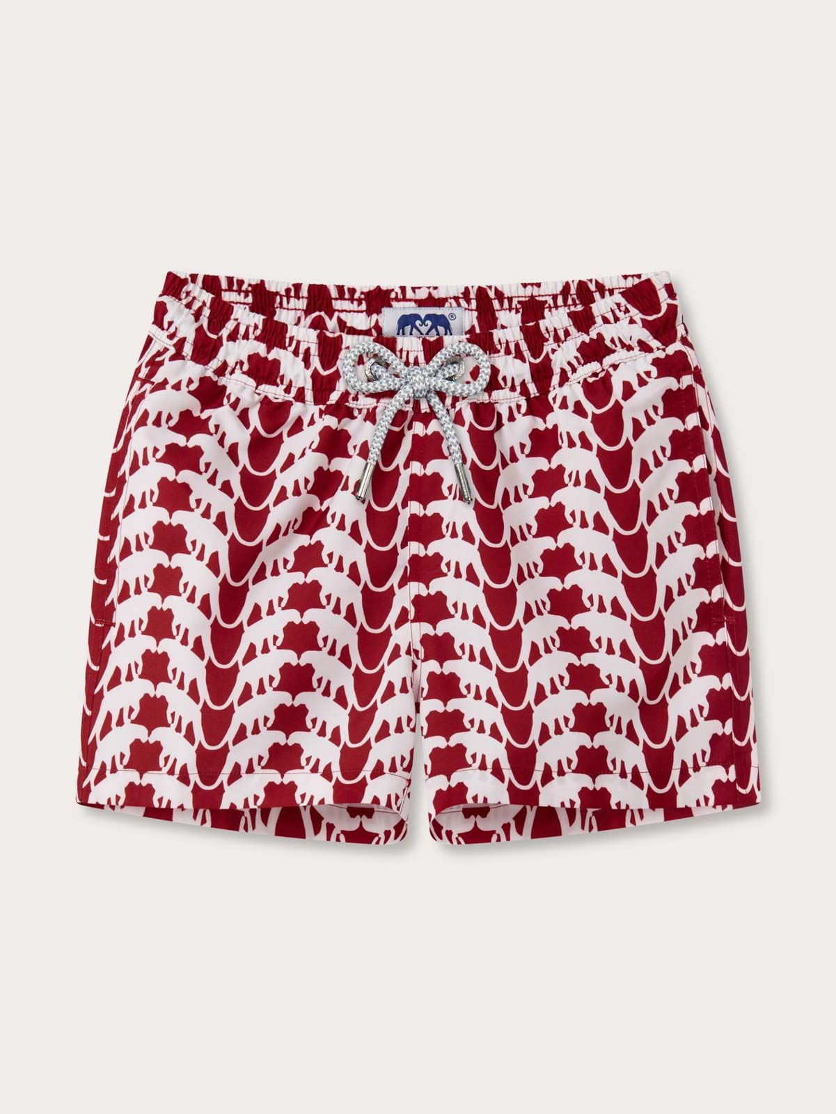 Front view of Boys Lurking Leopards Staniel Swim Shorts.
