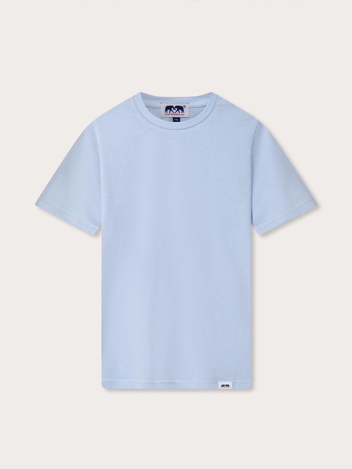 Front view of Kids Sky Blue Lockhart With Tab T-Shirt. Short sleeved blue t-shirt for kids.