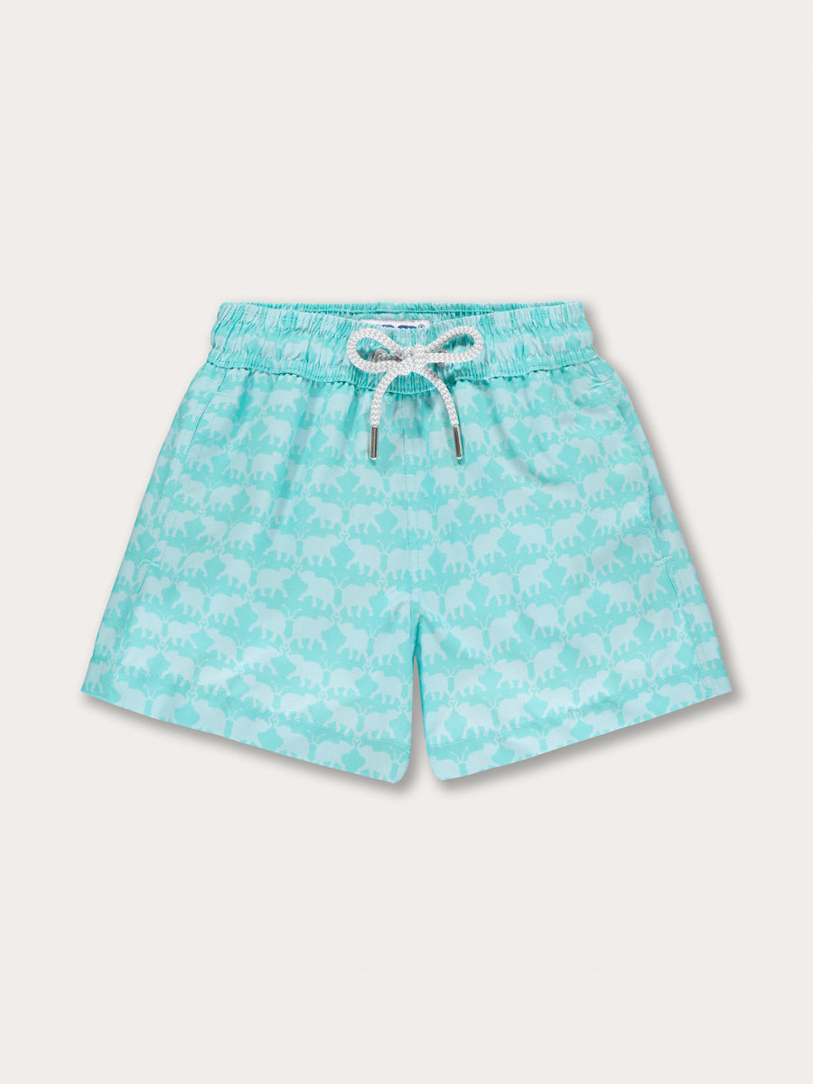 Front view of Boys' Elephant Dance Mint Staniel Swim Shorts. Mint green swimming shorts with a drawstring waist on white background.