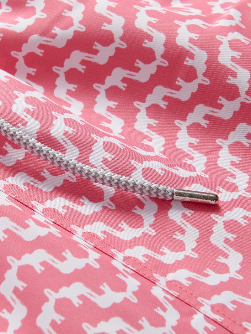 Close-up view of Boys Elephant Palace Strawberry Staniel Swim Shorts print. White and pink swimming shorts for kids.