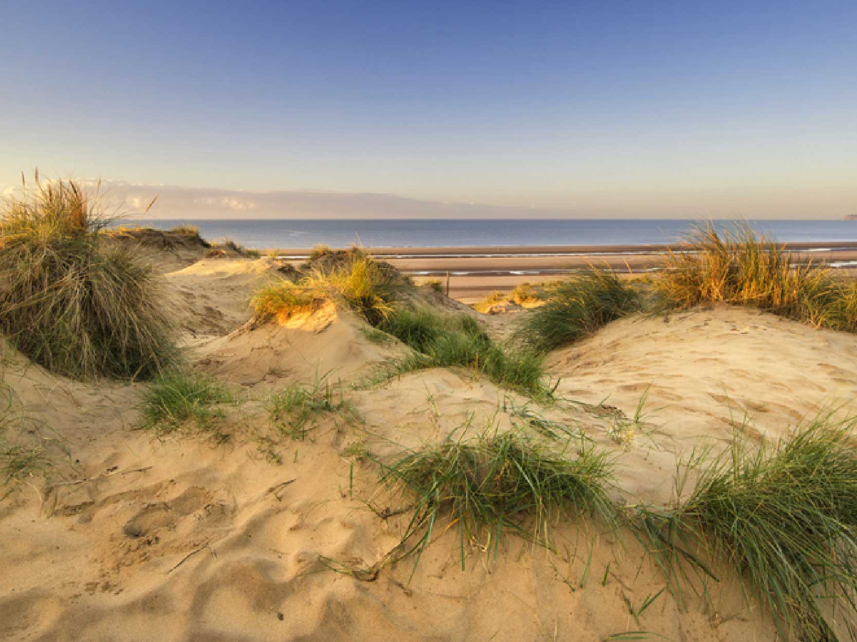 camber sand dunes