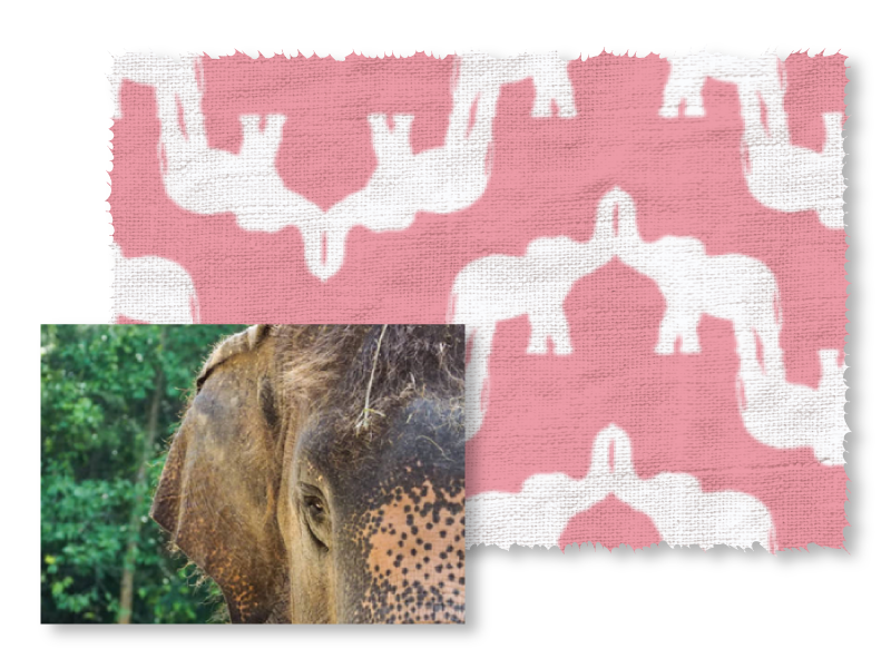 elephant palace pink