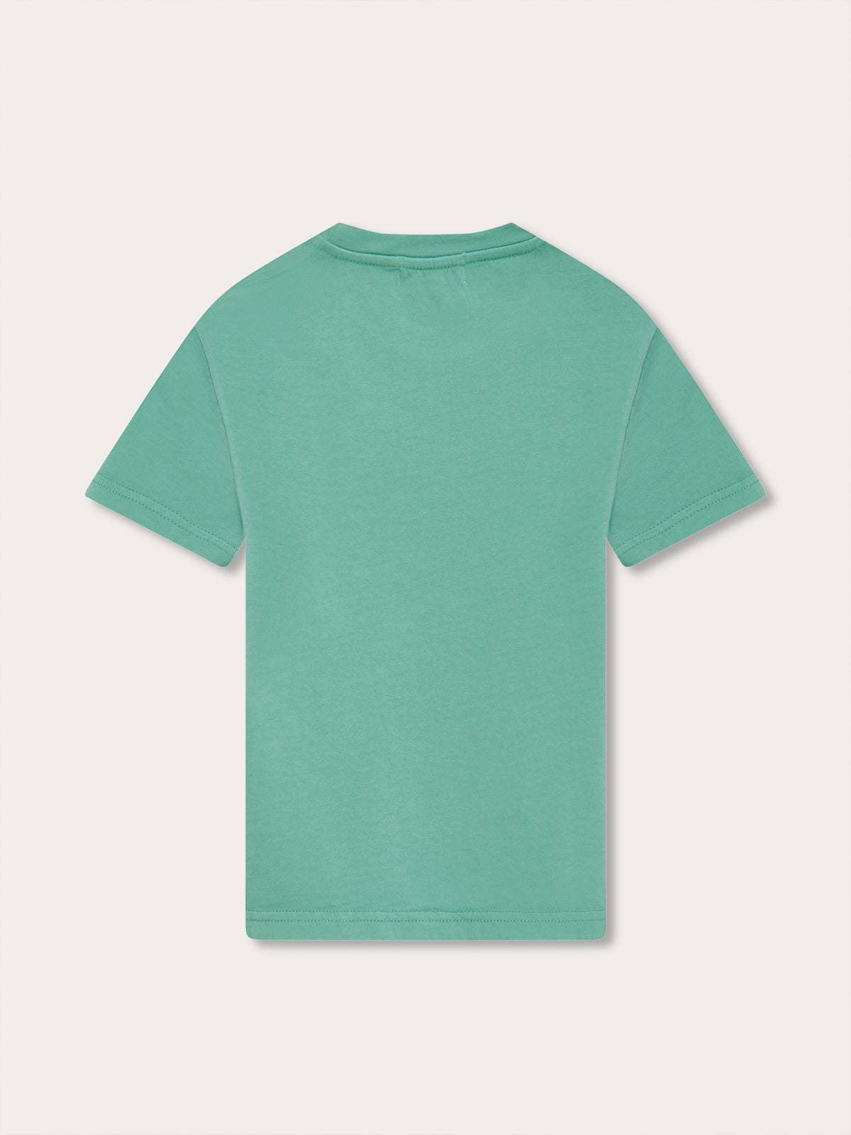 Boys Riviera Green Lockhart T Shirt made of 100% cotton, back view.