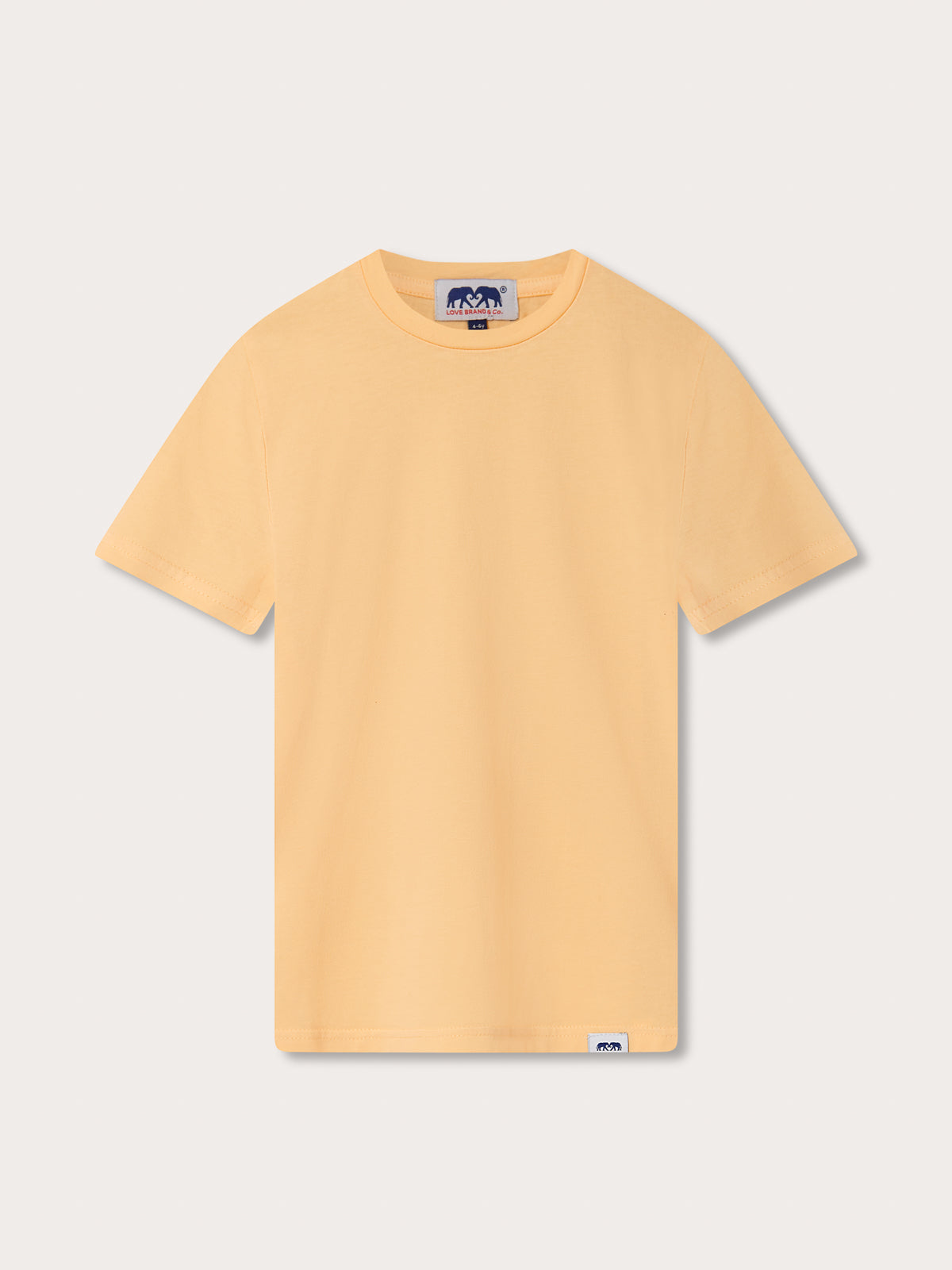 Front view of Kids Orange Sorbet Lockhart With Tab T-Shirt.Orange t-shirt for children.