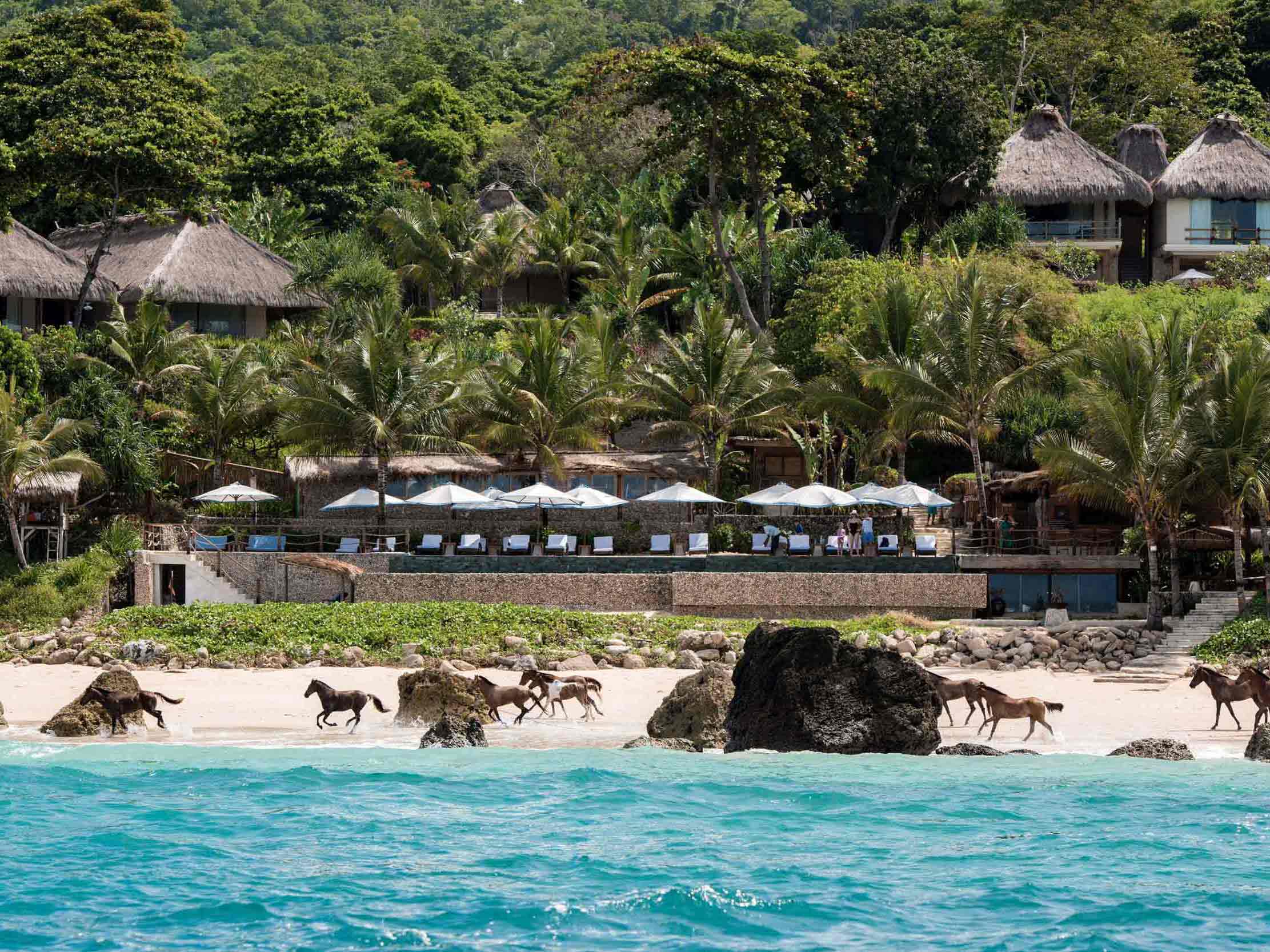 Horses run across the beach at Nihi Sumba Indonesia