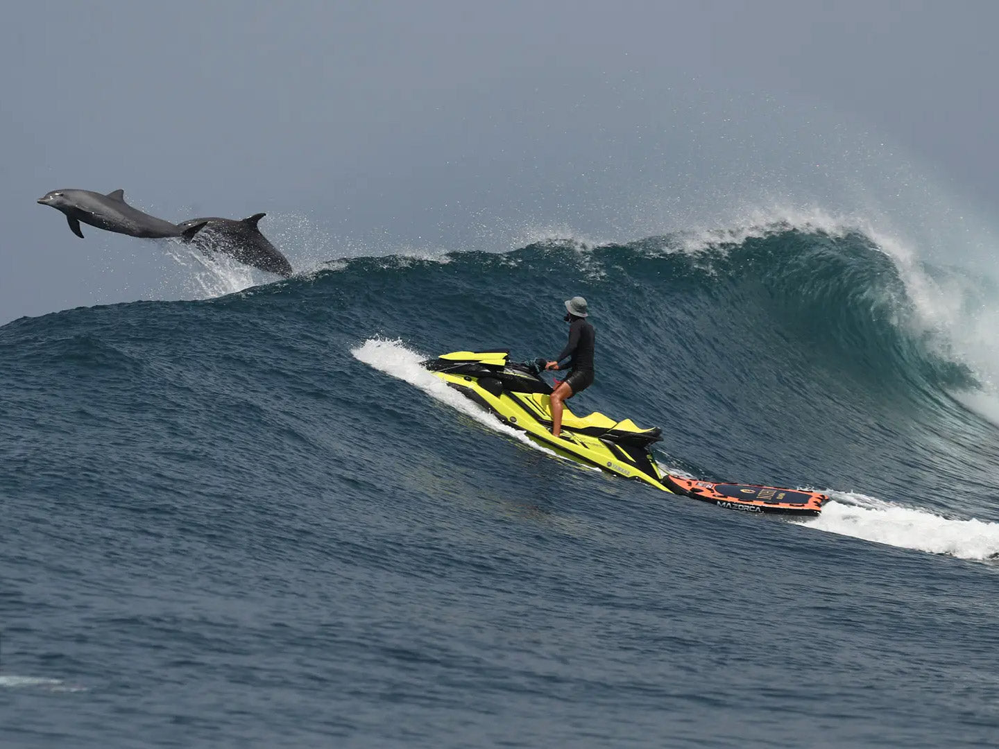 Man jet skis at Nihi Sumba resort as a pair of dolphins jump out of the waves ahead