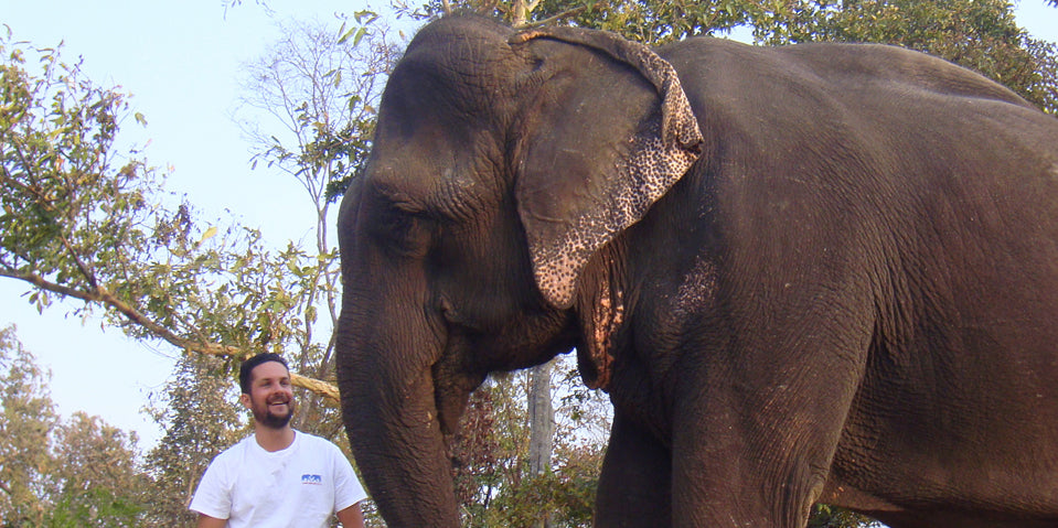 A large Asian elephant standing outdoors next to a smiling man wearing a white love brand t-shirt, with trees and sky in the background.