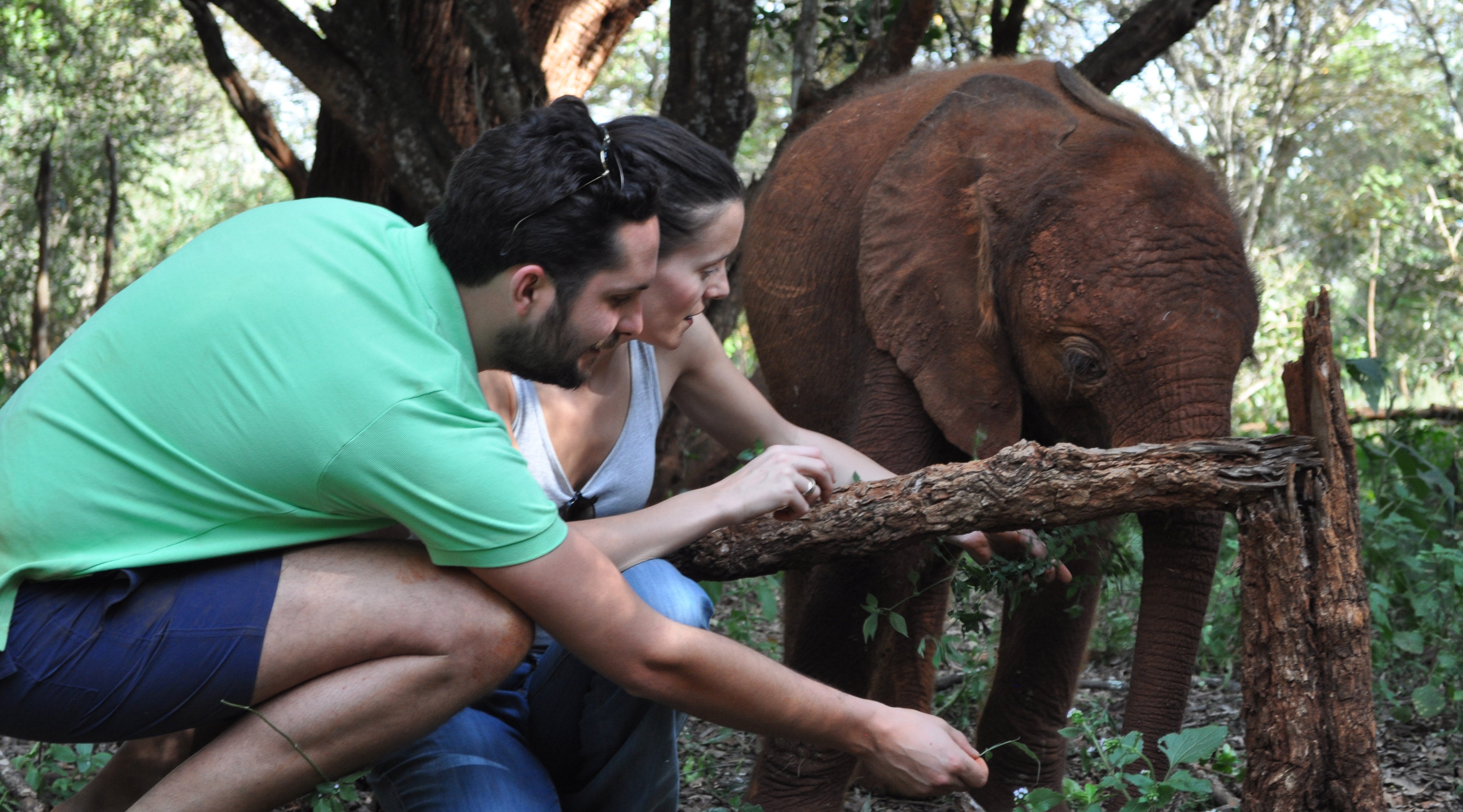 Two people interacting with a baby elephant in a forest setting