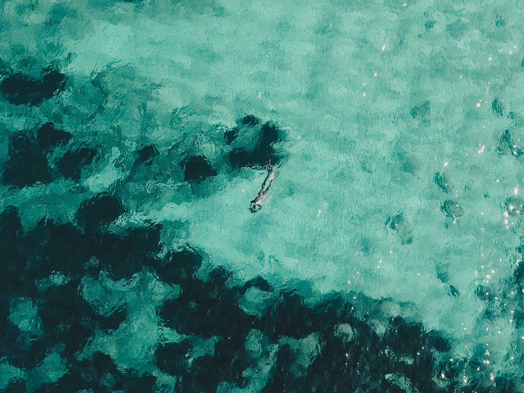 Posidonia Sea Grass Ibiza