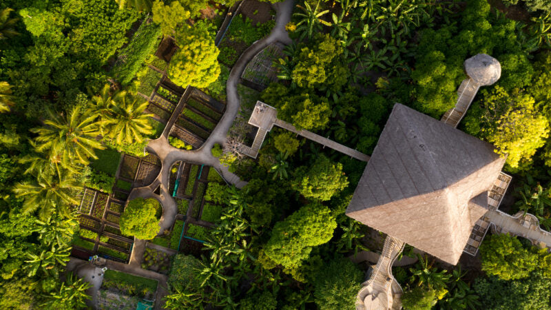 Aerial view of a wooden structure in a lush green forest