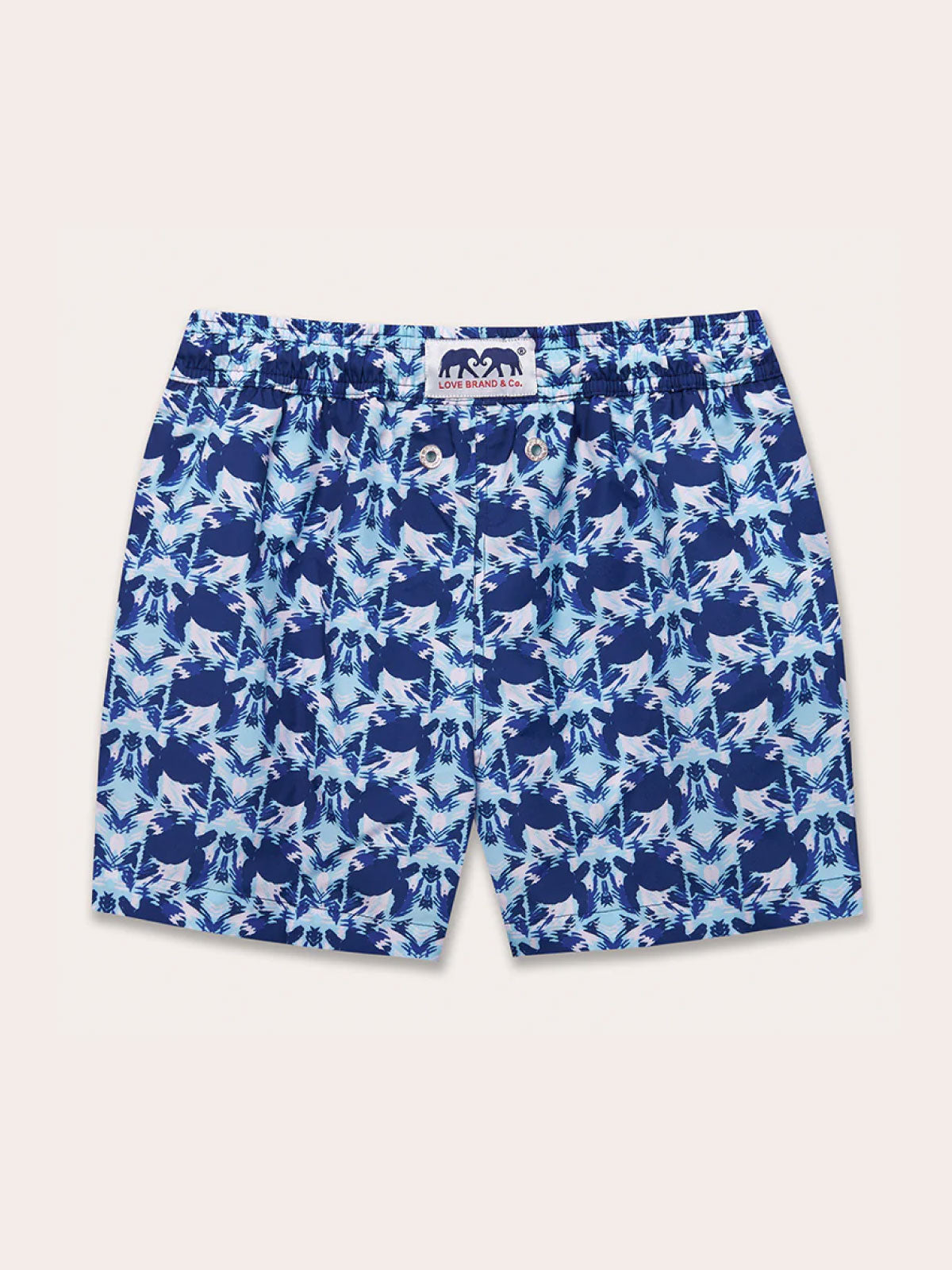 Boys Turtle Eclipse Staniel Swim Shorts