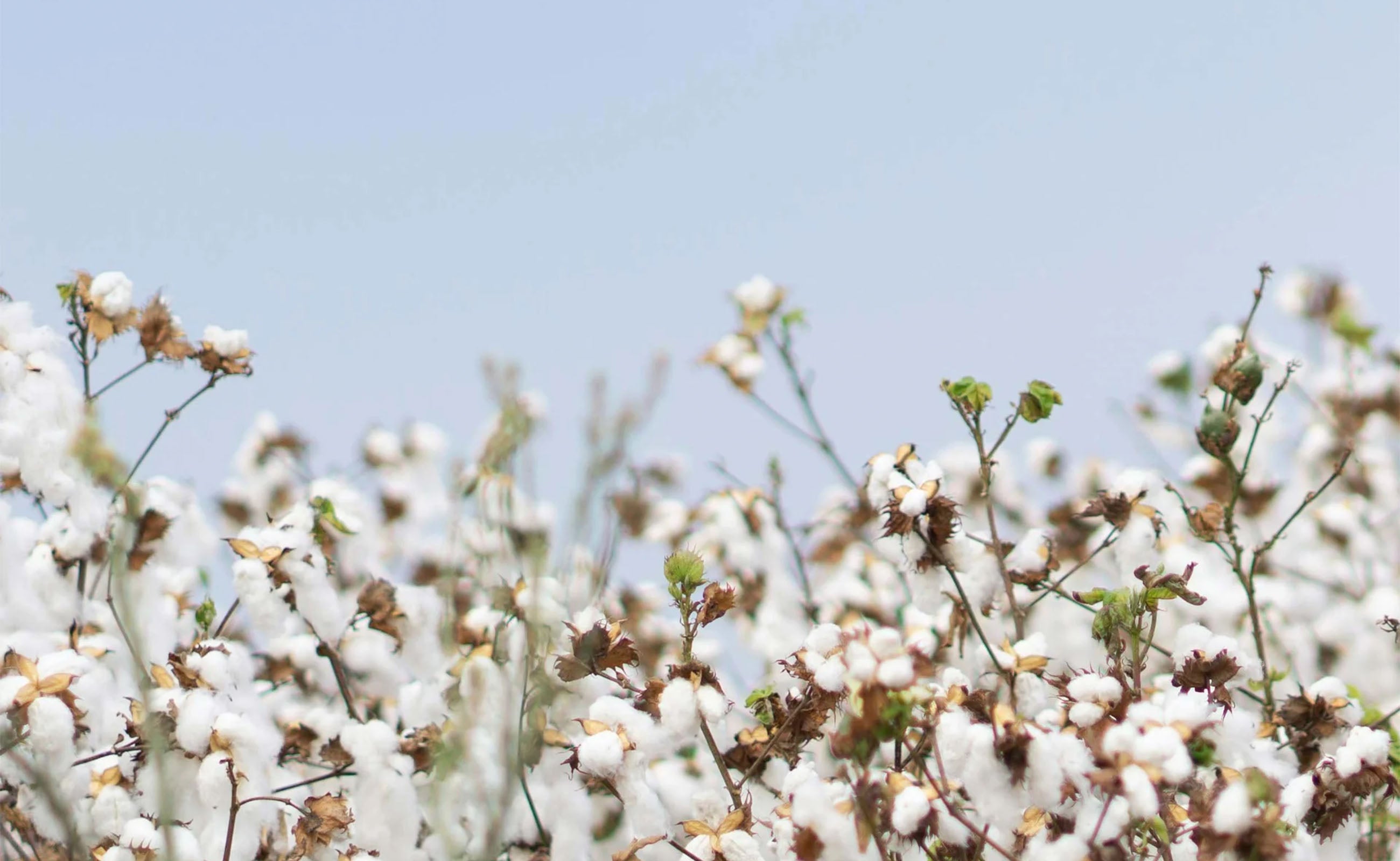 childrens designer swimwear