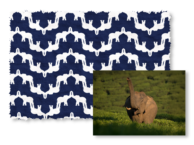 Navy blue fabric with white elephant pattern and a photo of an elephant in a natural setting.