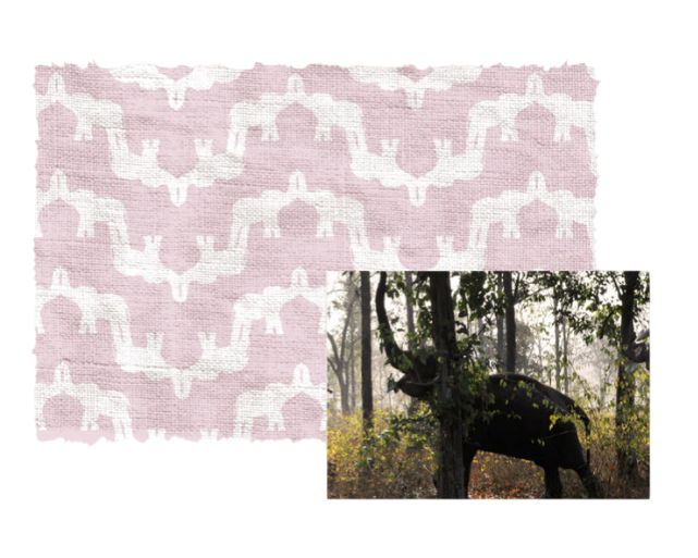 elephant palace pink