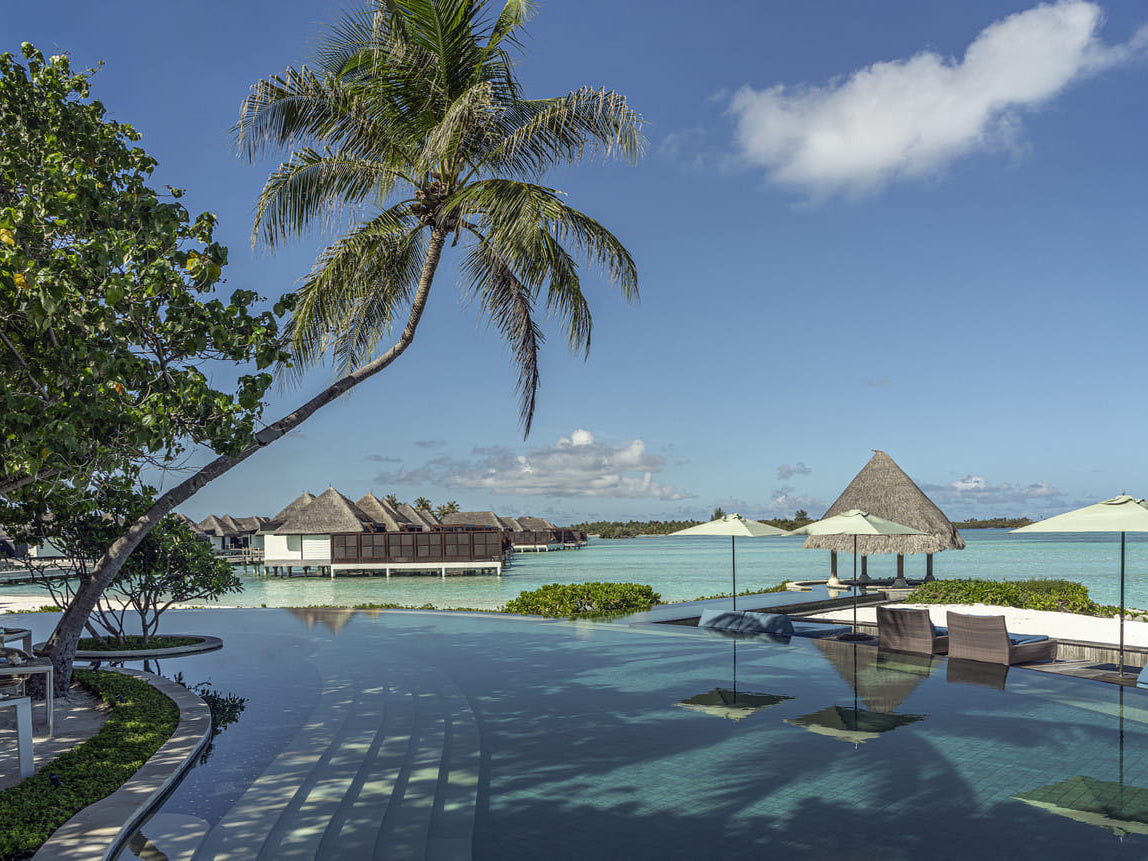 Pool area with palm trees, lounge chairs, and water view at a resort.