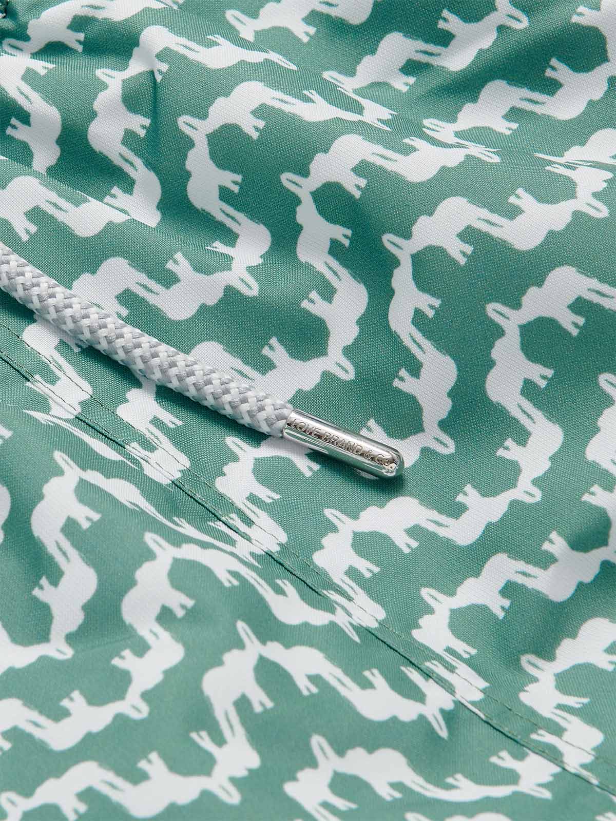 Boys Elephant Palace Green Staniel Swim Trunks