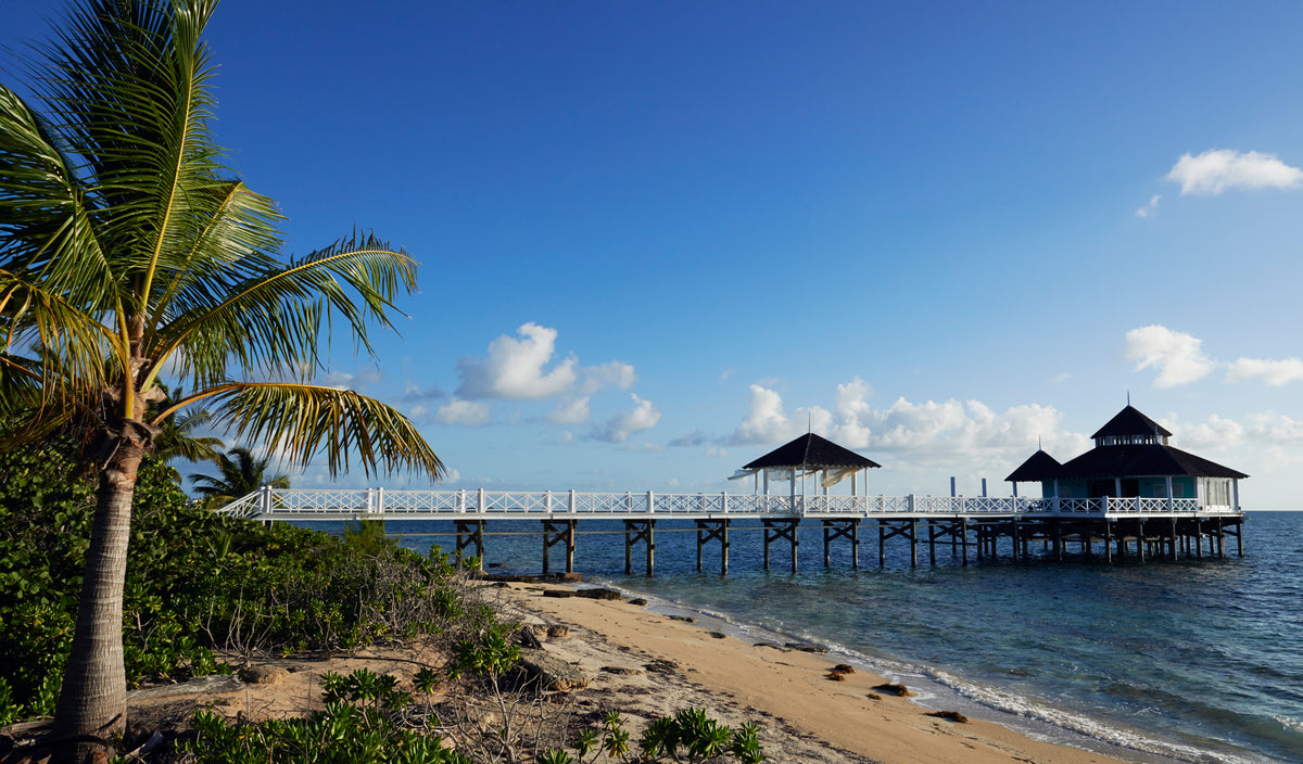 Palm tree on a beach with a pier extending into the ocean under a clear blue sky.