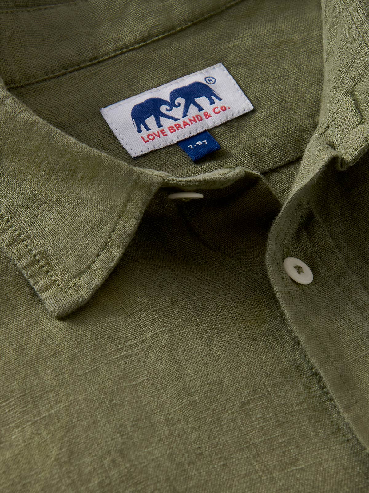 Close-up of a children's green shirt with a love brand label inside the collar.