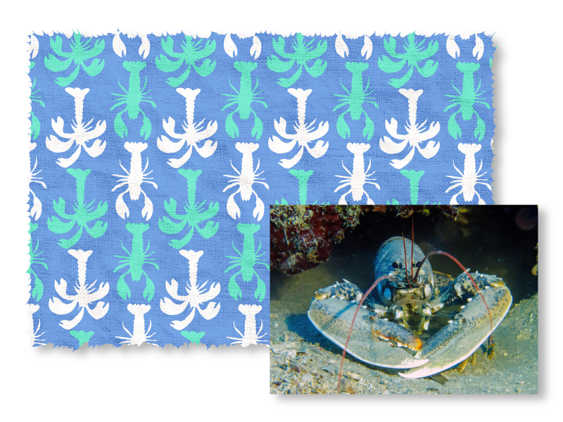 Patterned fabric with lobster design on a blue background and a real lobster underwater.