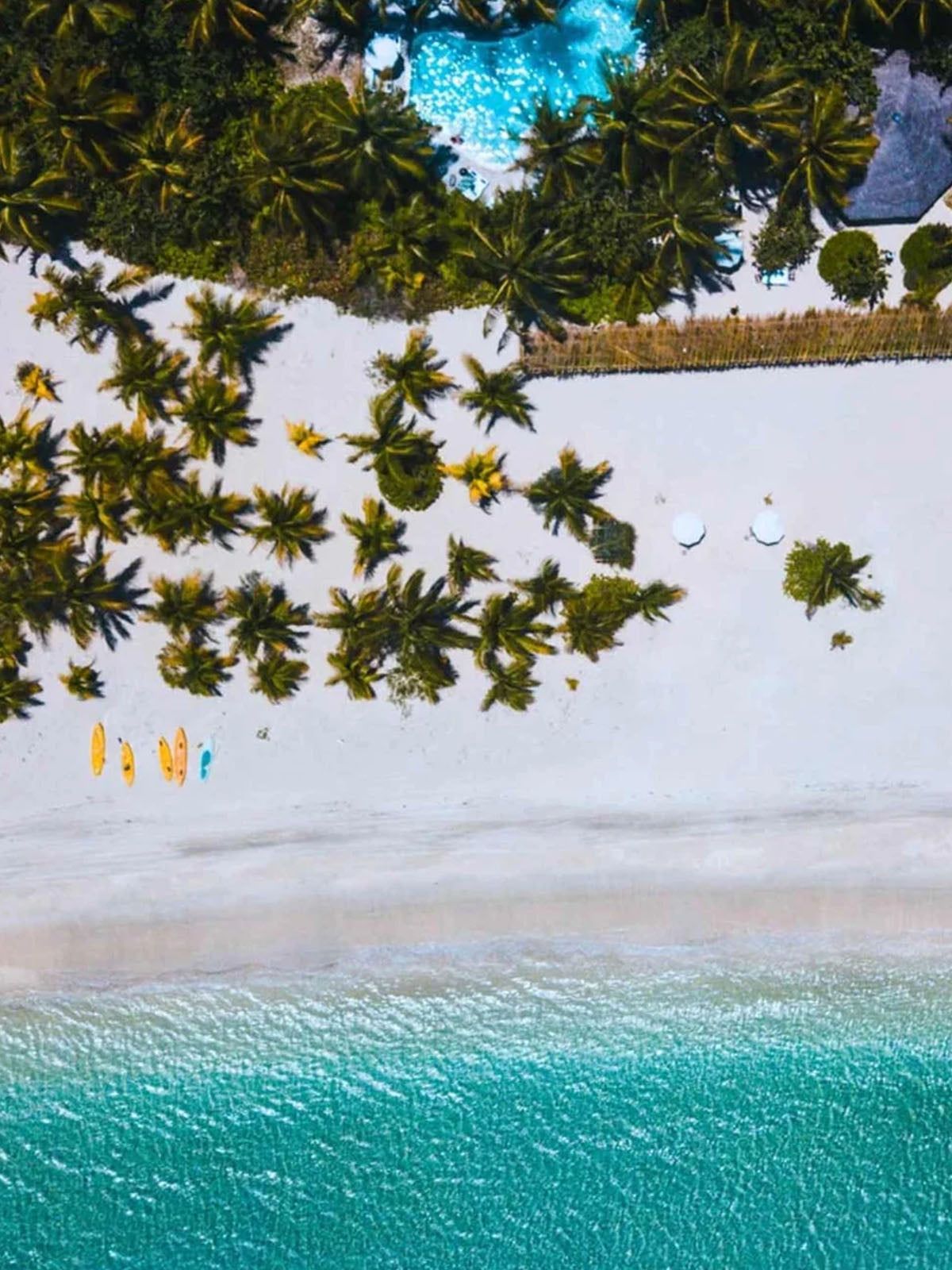 matching family bathing suits