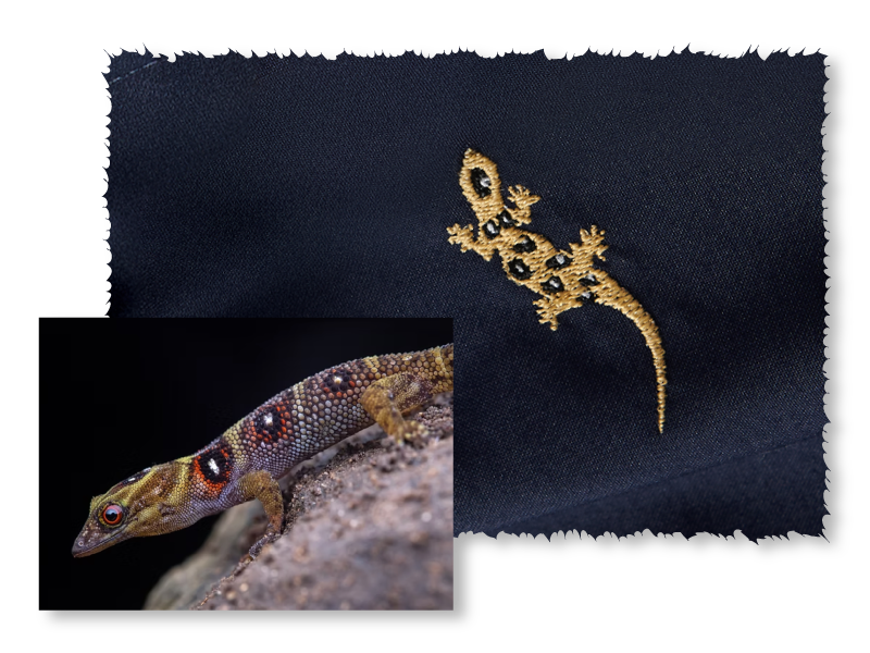 Blue and gold embroidery for love brand mens swim shorts.