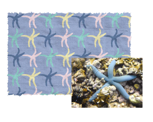 star dancer print inspiration