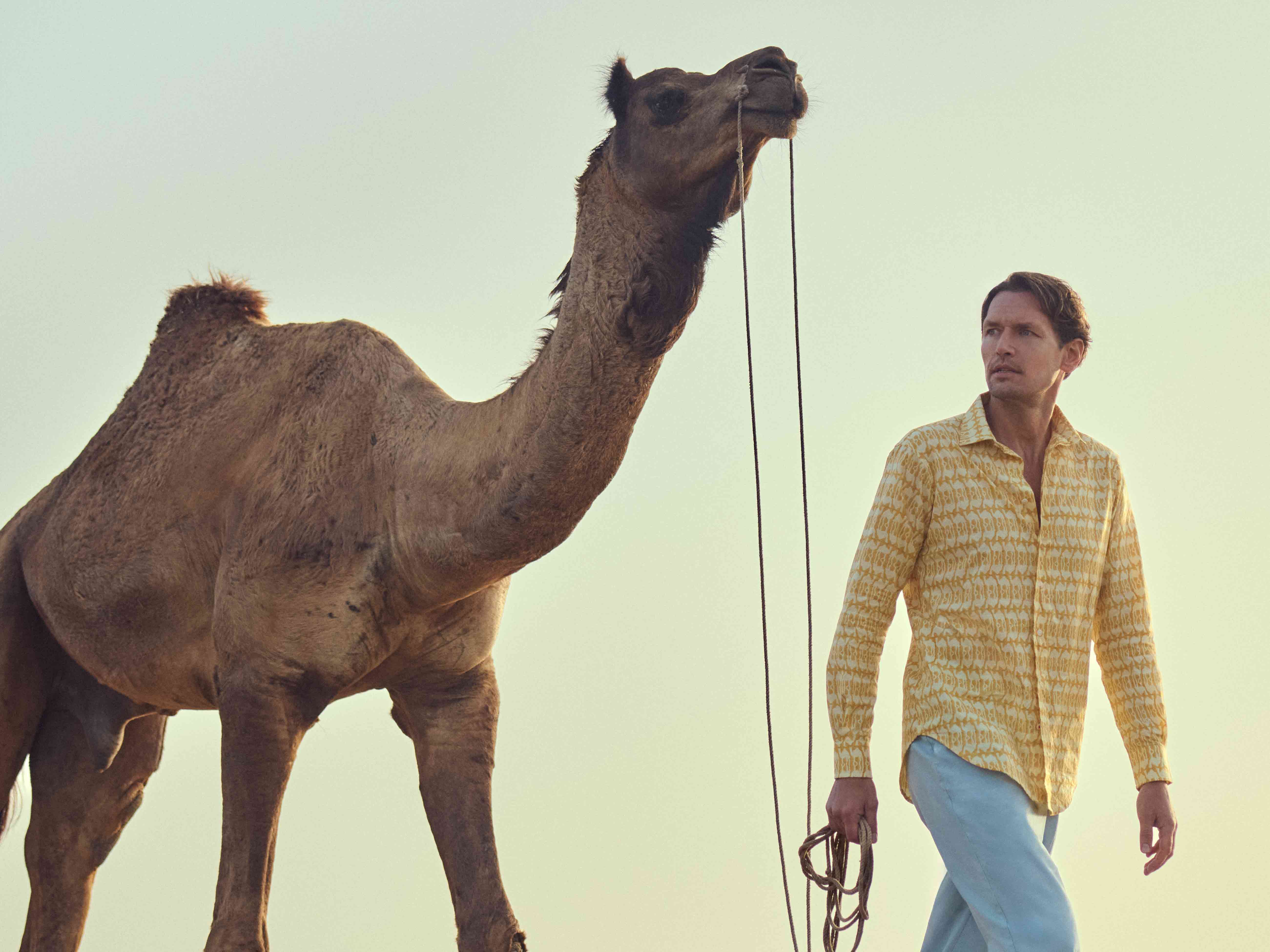 love brand x sujan camps yellow camel mirage shirt