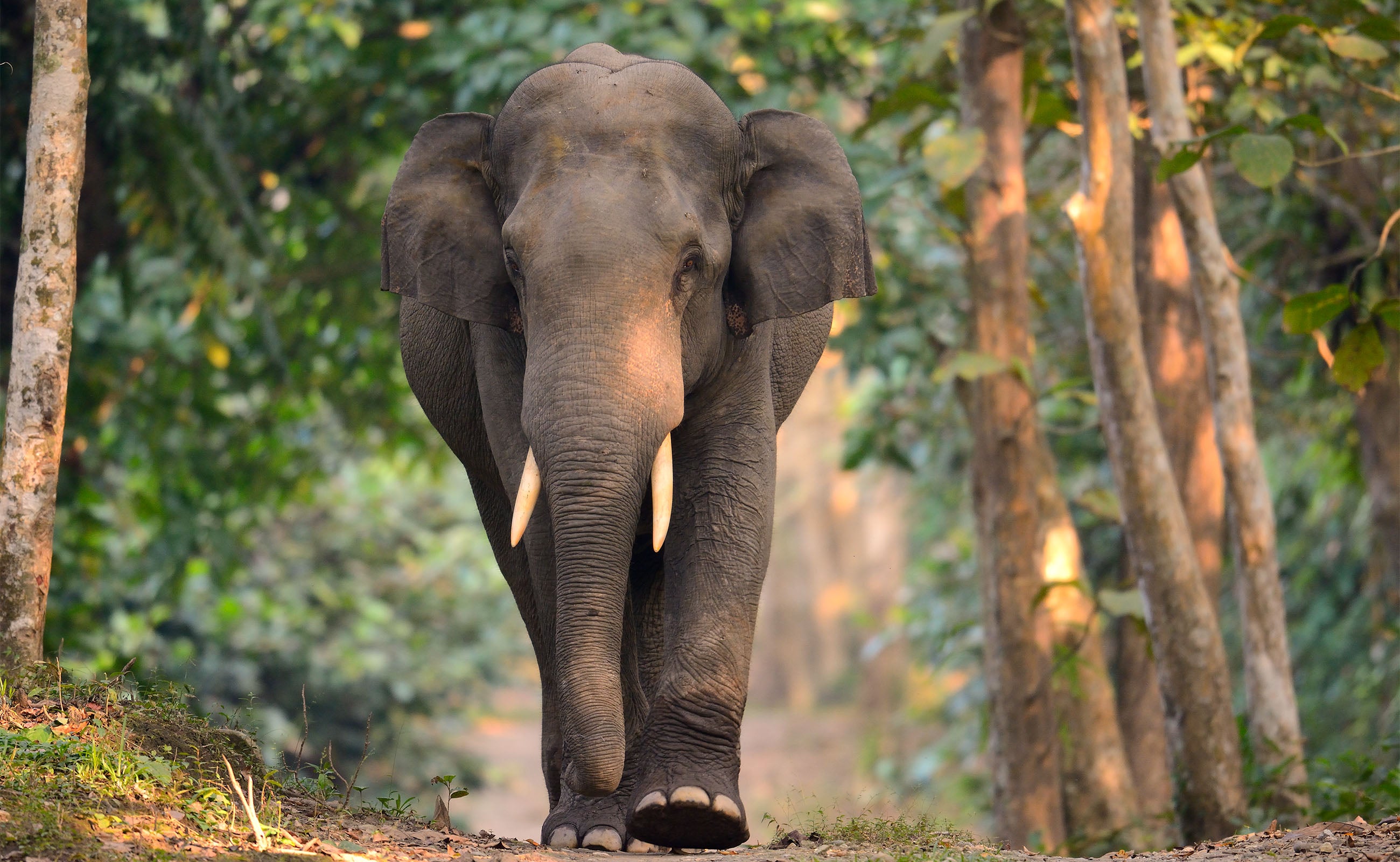 sustainable beachwear