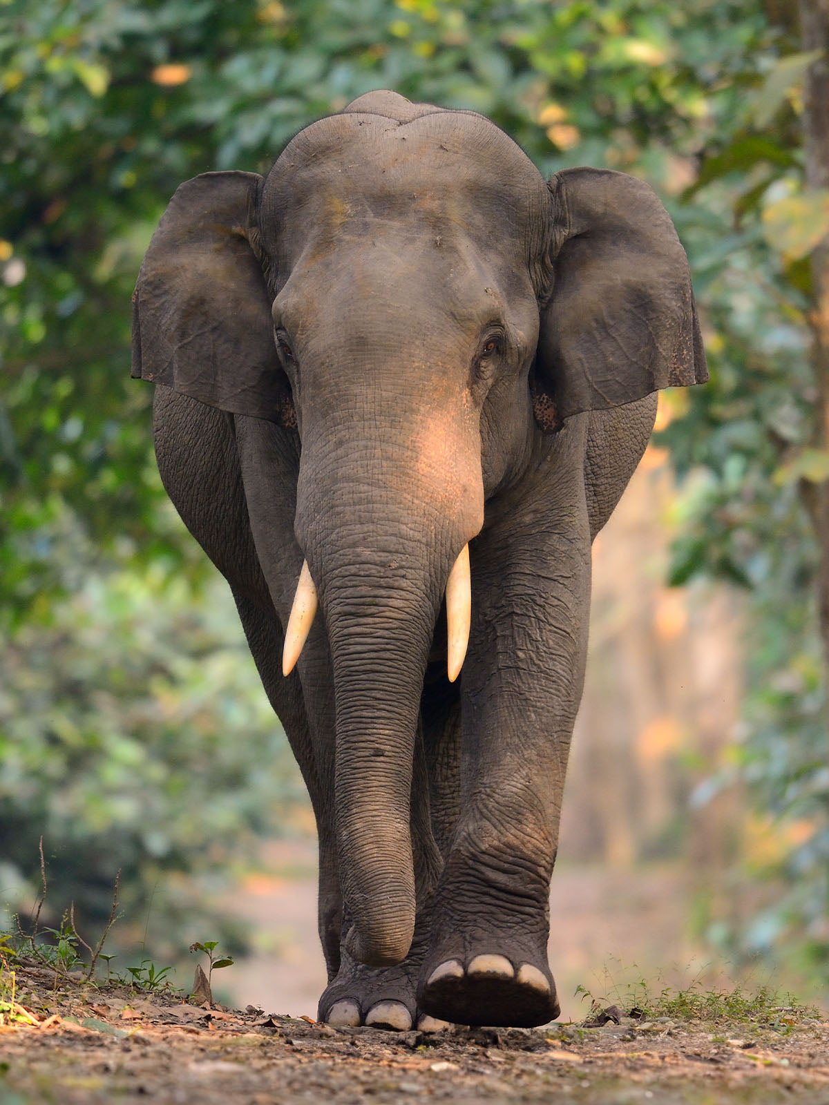 sustainable fashion brands