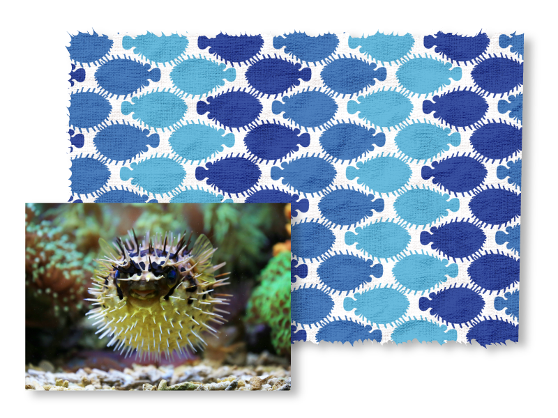 Blue and white patterned fabric with a close-up of a spiky yellowish-green puffer-fish.