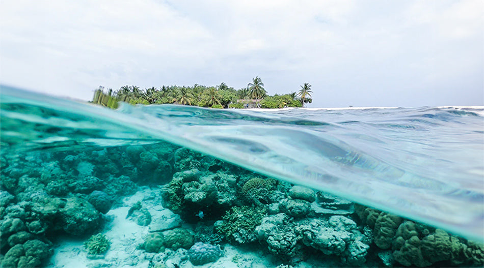 Beneath the water with BREEF