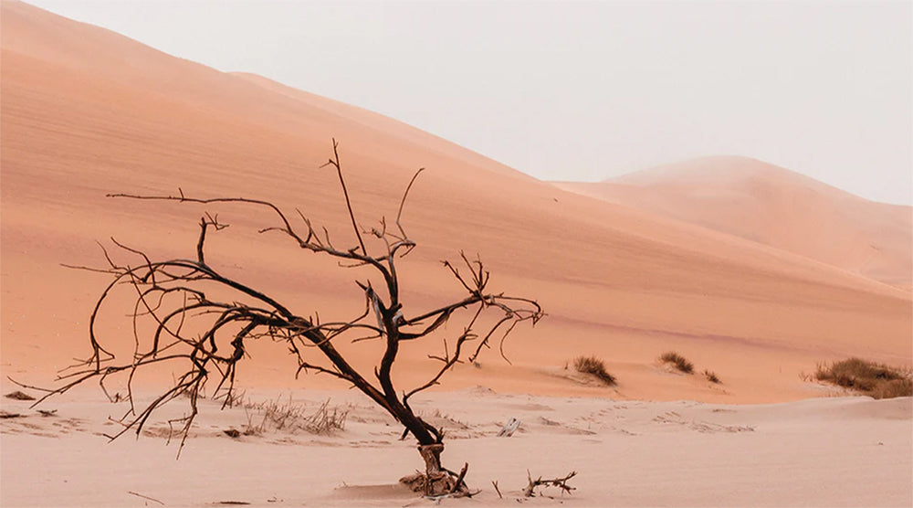 Namibia