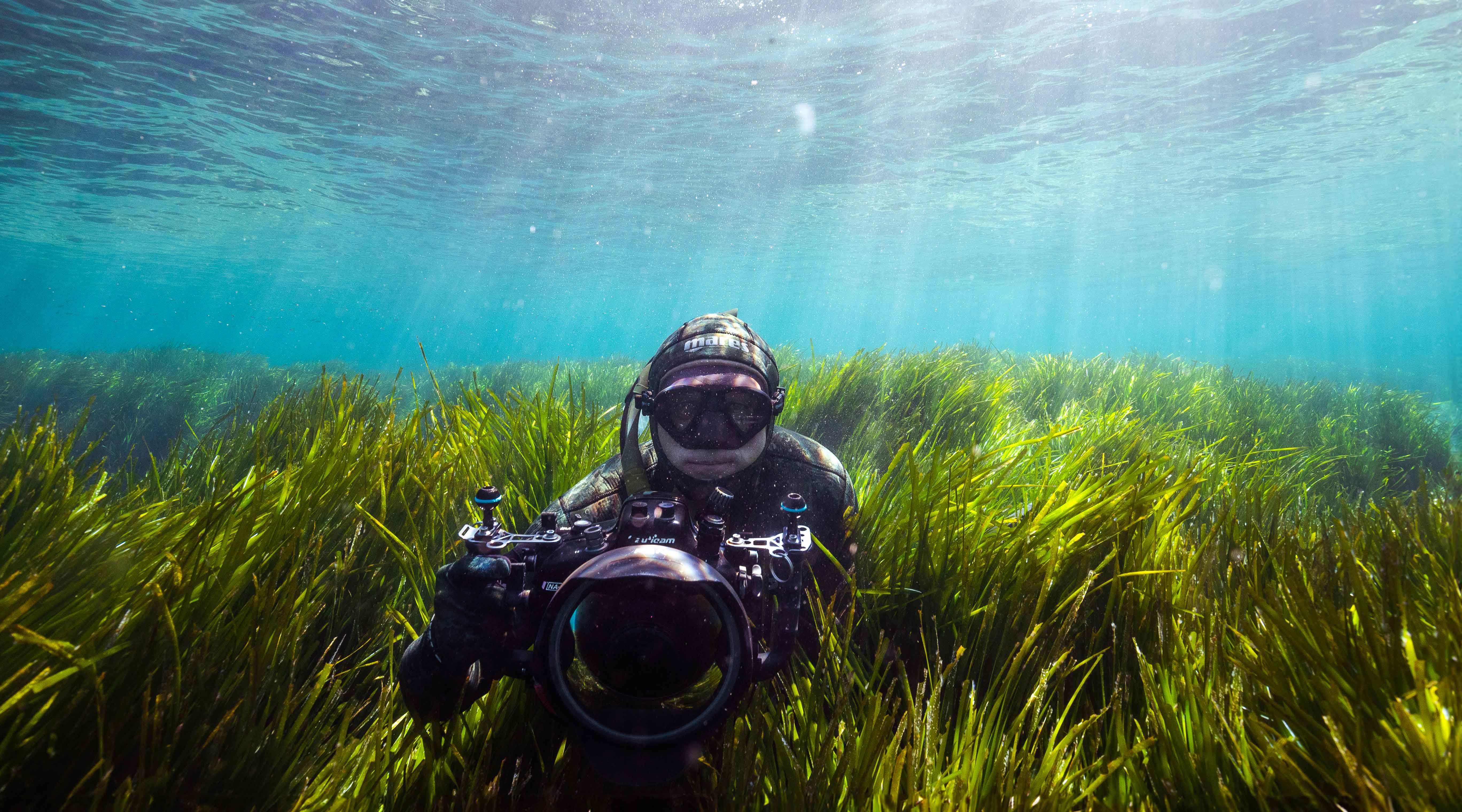 LOVE BRAND & Co. Presents 'PROTECTING POSIDONIA'