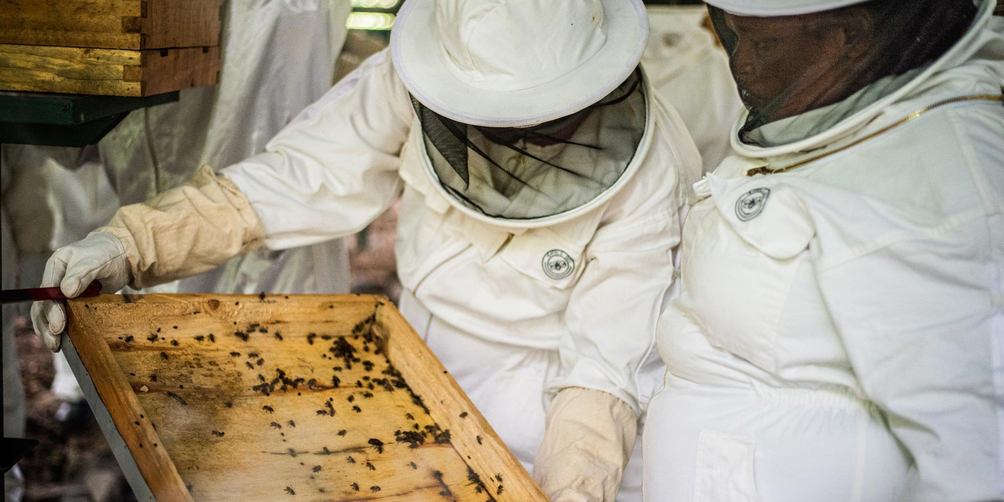 Beekeepers part of Sheldrick Wildlife Trust’s Beehive Initiative