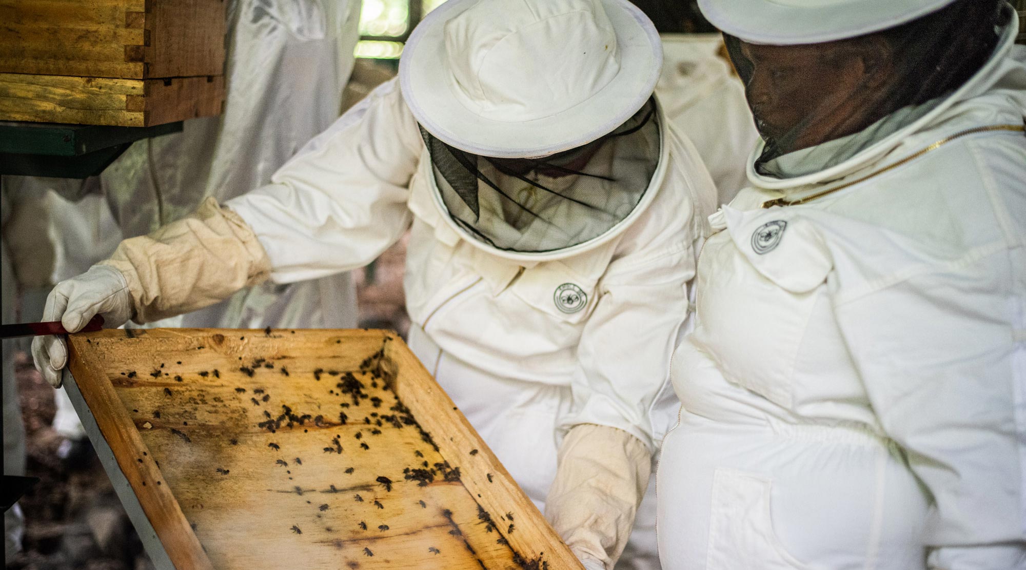 Beekeepers part of Sheldrick Wildlife Trust’s Beehive Initiative