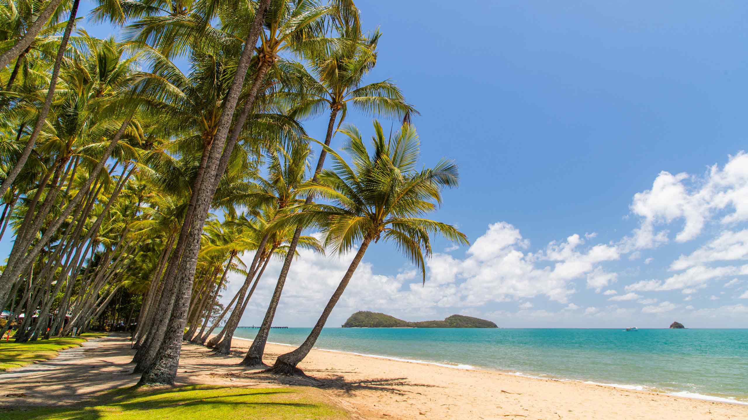 best places to swim in the world - palm cove, australia