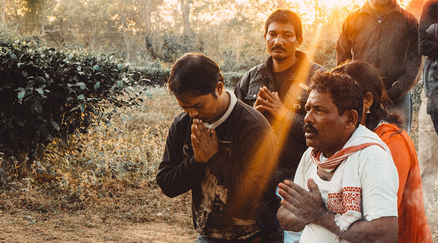 Helping Dulu Project | Elephant Family