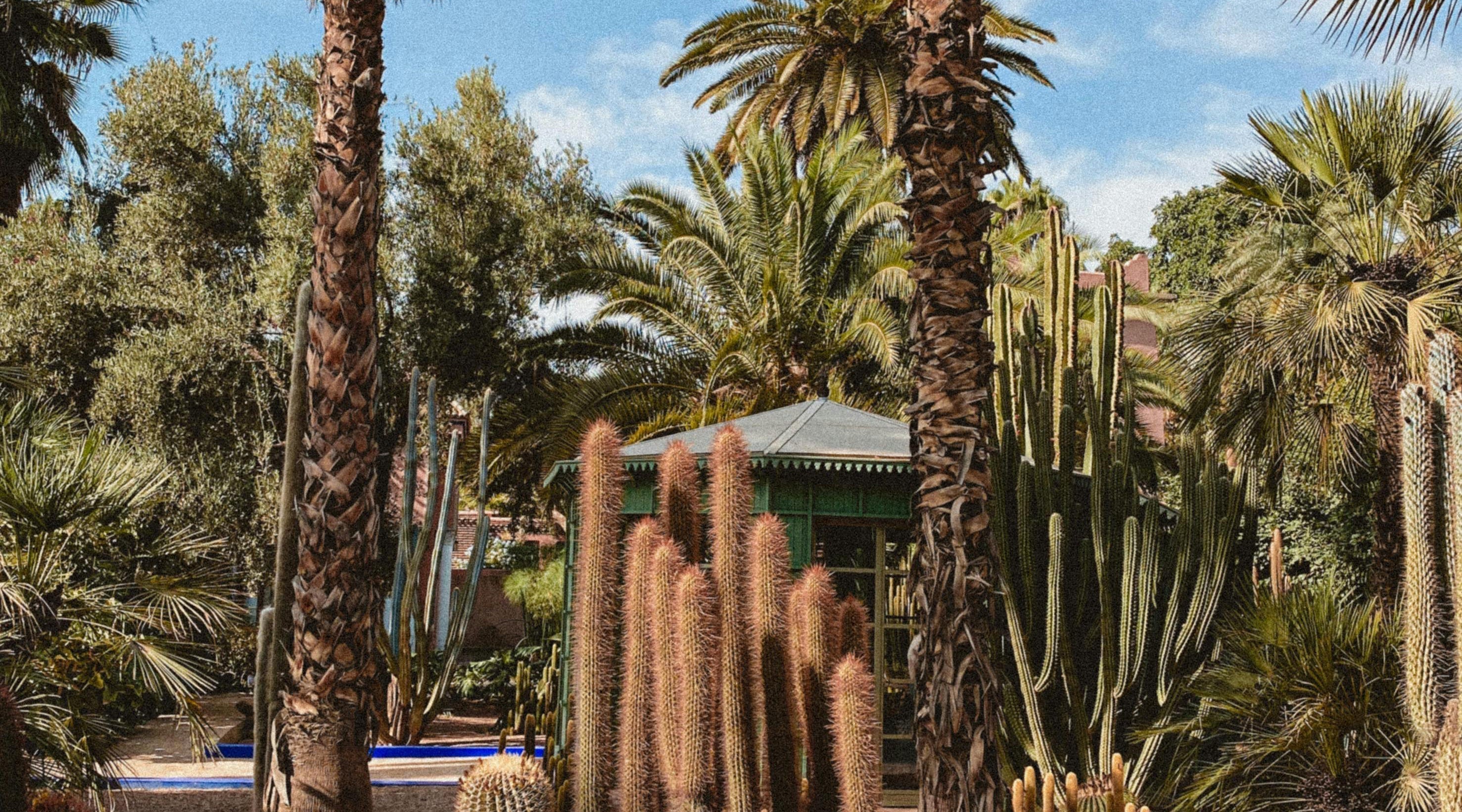 Jardin Majorelle