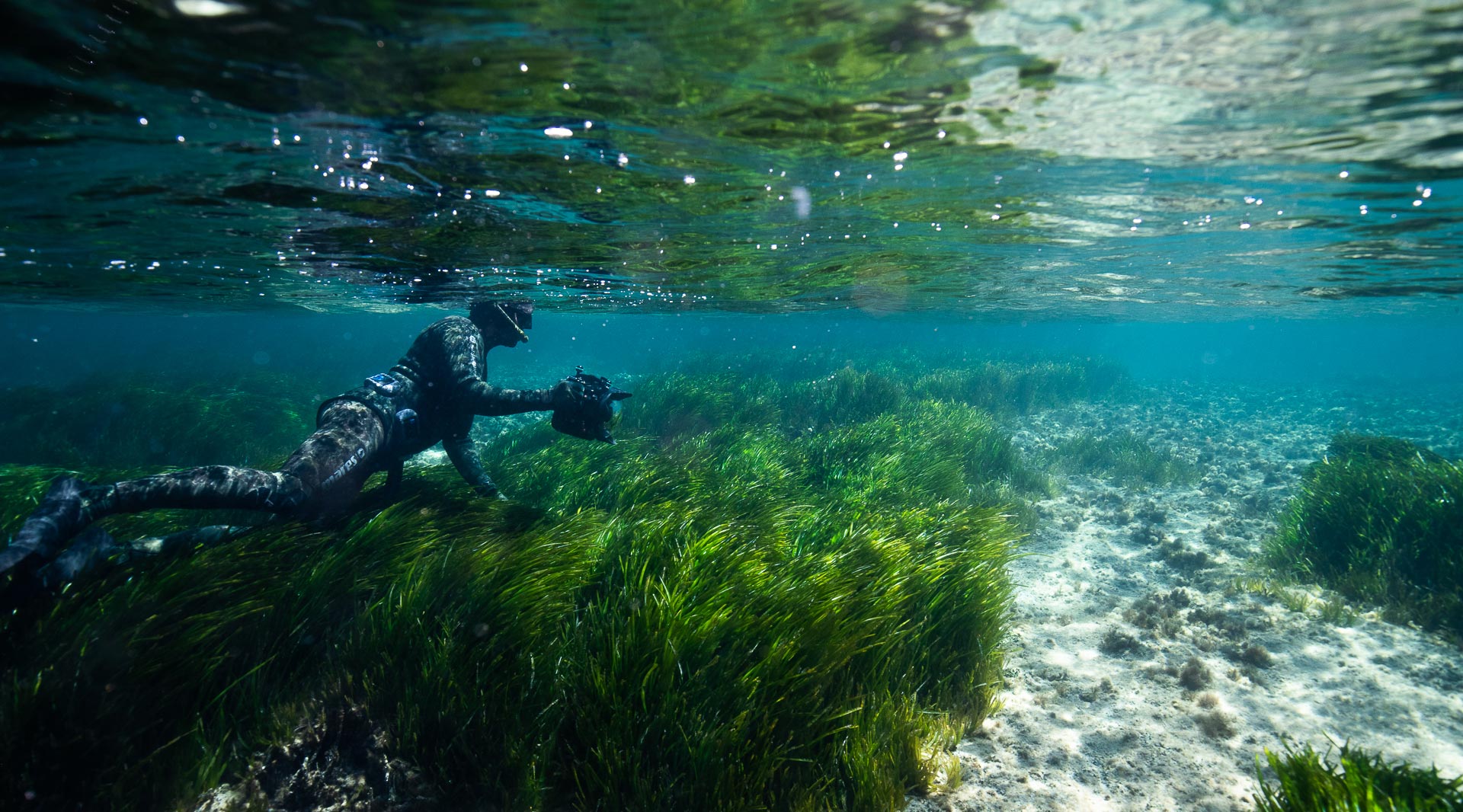 diver Manu San Felix in posidonia seagrass