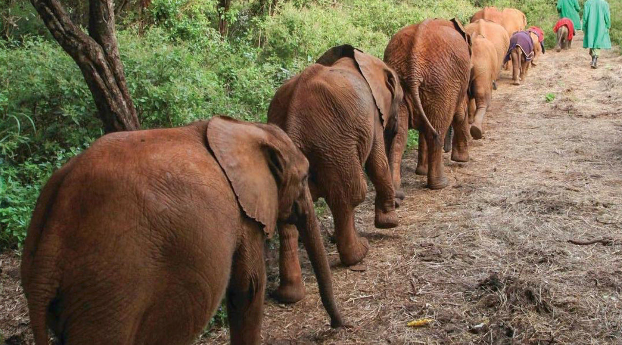 Being Barsilinga | Chapter 6 "The Big Move"