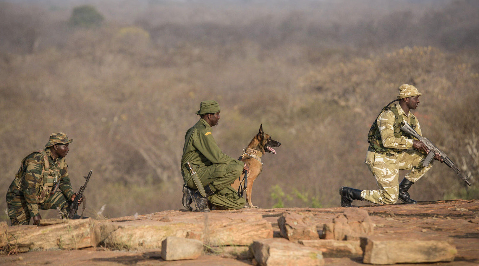 Sheldrick Wildlife Trust | In Focus