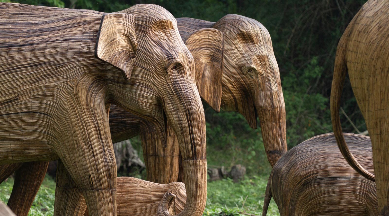 The Great Elephant Migration | Creating The Elephants